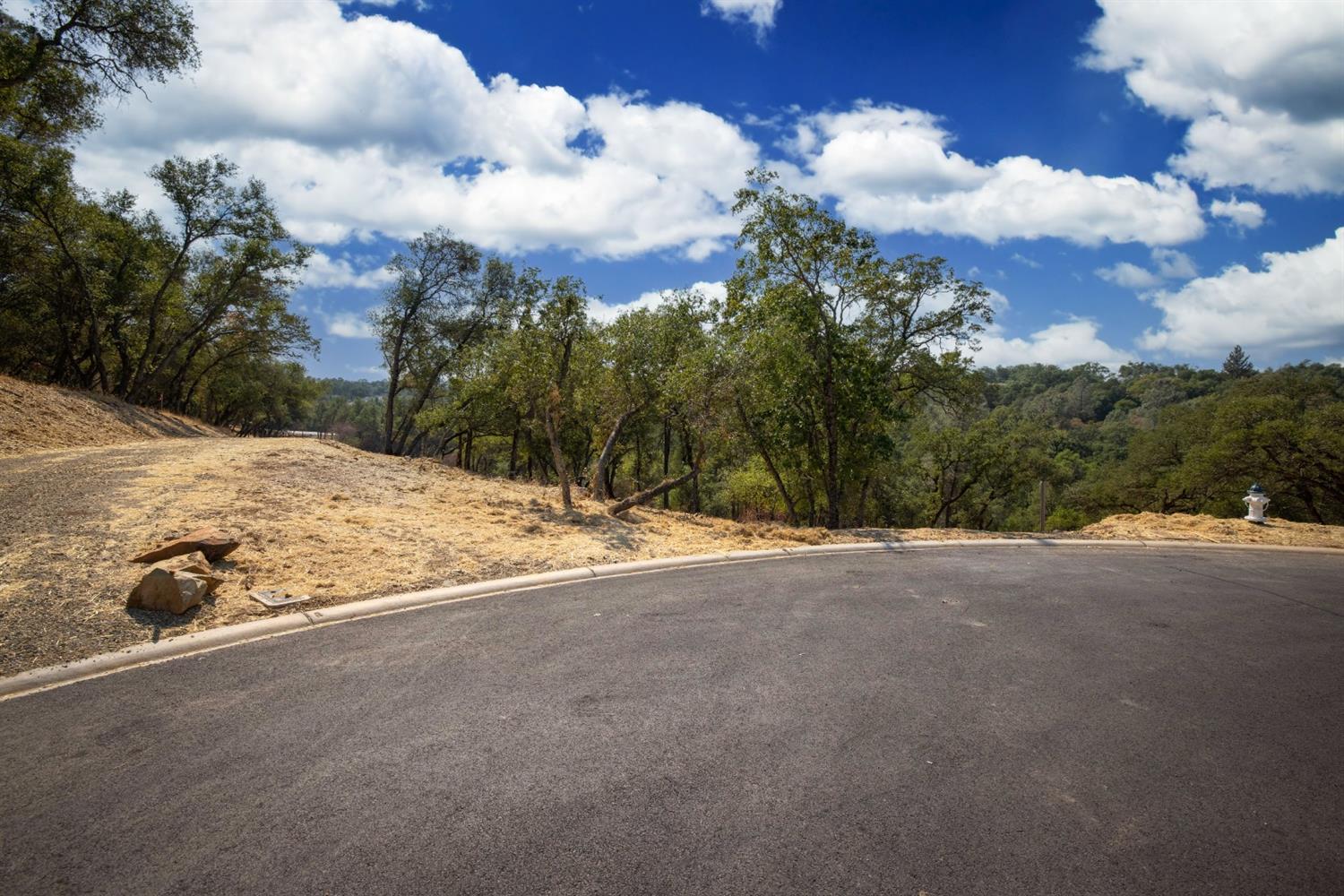320 Raphael Court, El Dorado Hills, California, 95762, United States, ,Land,For Sale,320 Raphael Court,1643043