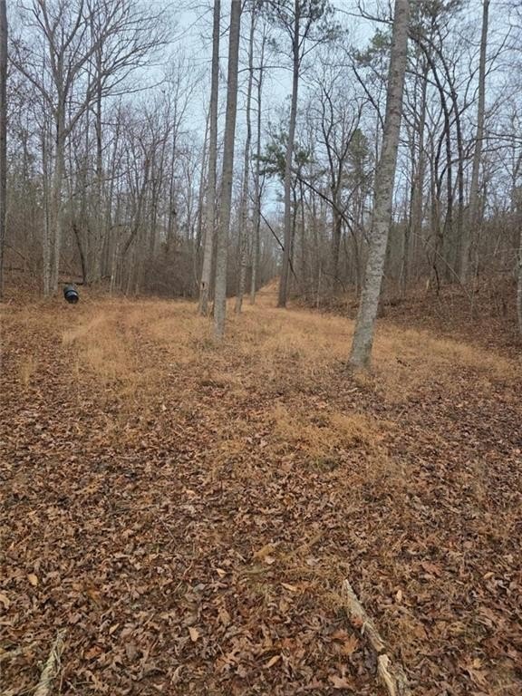 Talking Rock, Georgia, 30175, United States, 1 Bedroom Bedrooms, ,1 BathroomBathrooms,Residential,For Sale,2005739