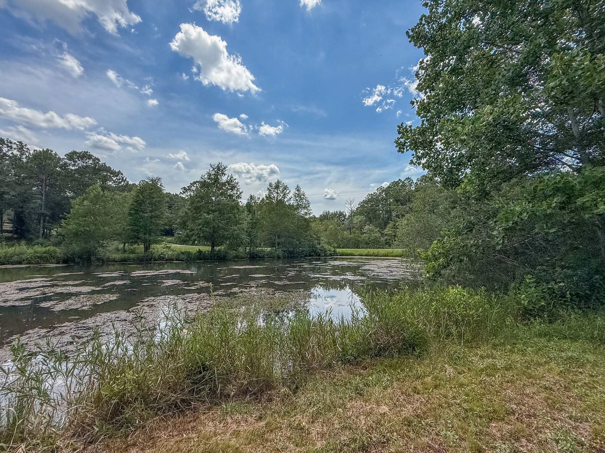 Crestview, Florida, 32539, United States, 4 Bedrooms Bedrooms, ,4 BathroomsBathrooms,Residential,For Sale,1907625