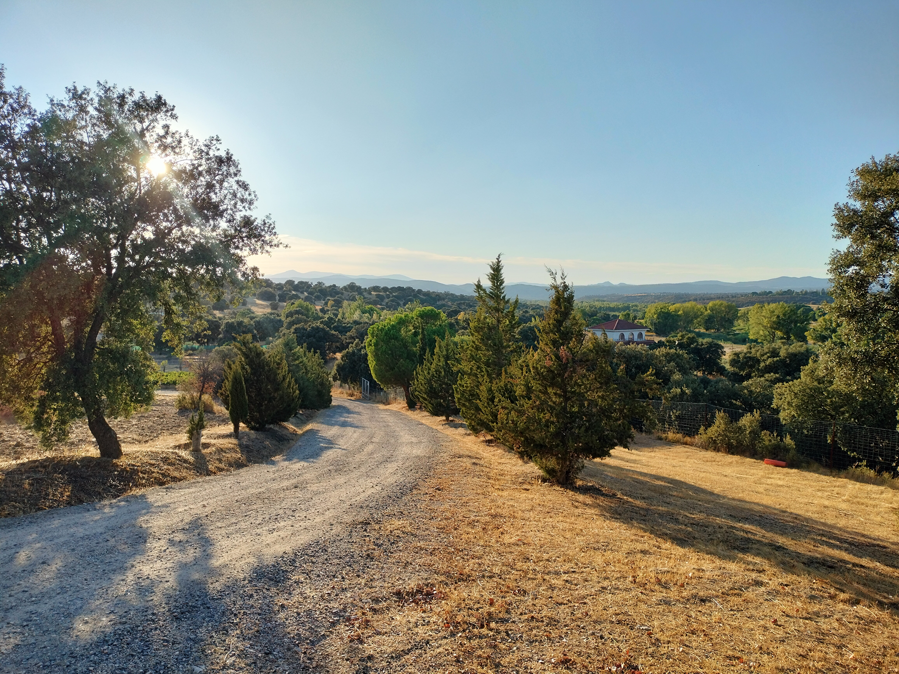  11-hectare Equestrian Estate in Madrid - 物件實景