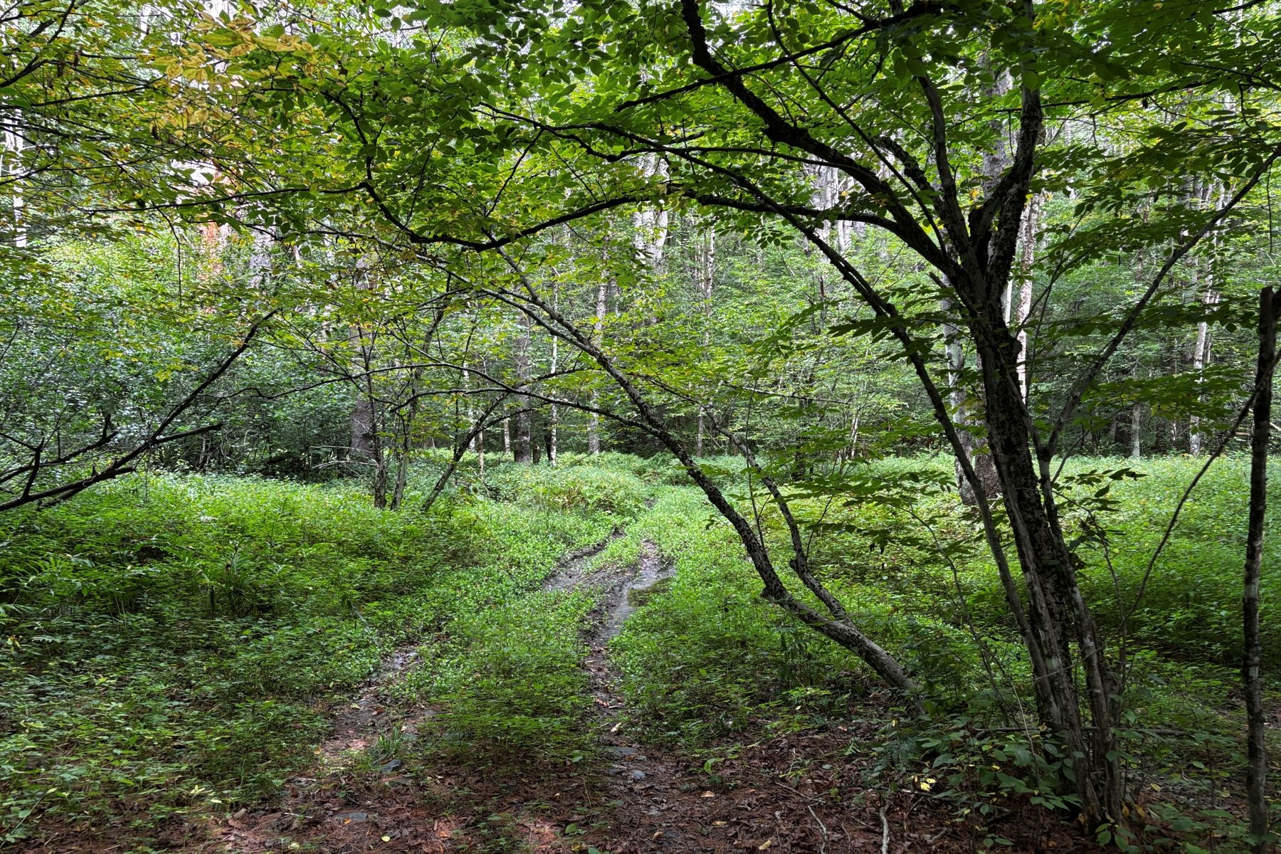  40 E Putney Brook Road - 物件實景