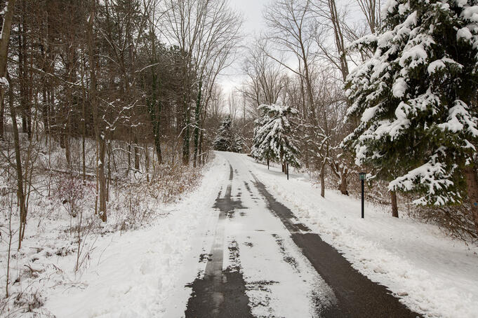 Portland, Michigan, 48875, United States, 5 Bedrooms Bedrooms, ,4 BathroomsBathrooms,Residential,For Sale,2002495