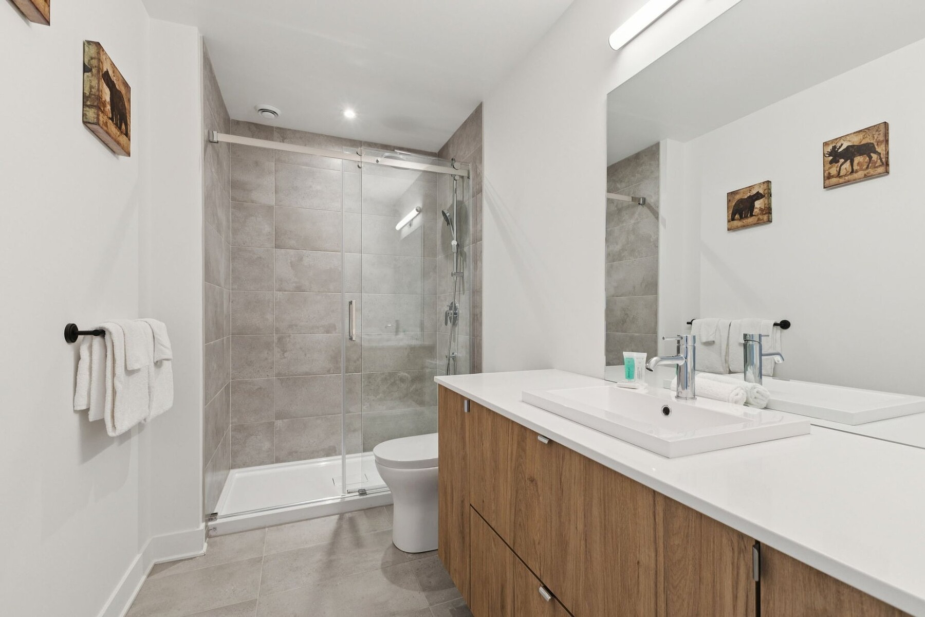  Mont-Tremblant, Laurentides - 物件實景