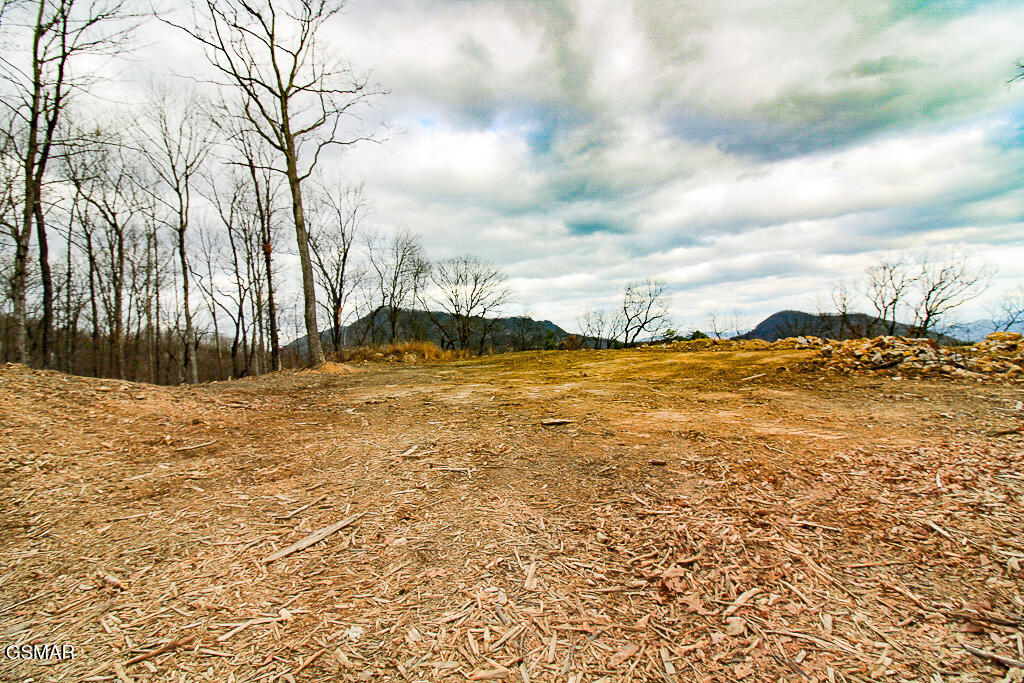 Sevierville, Tennessee, 37876, United States, ,Land,For Sale,2008093