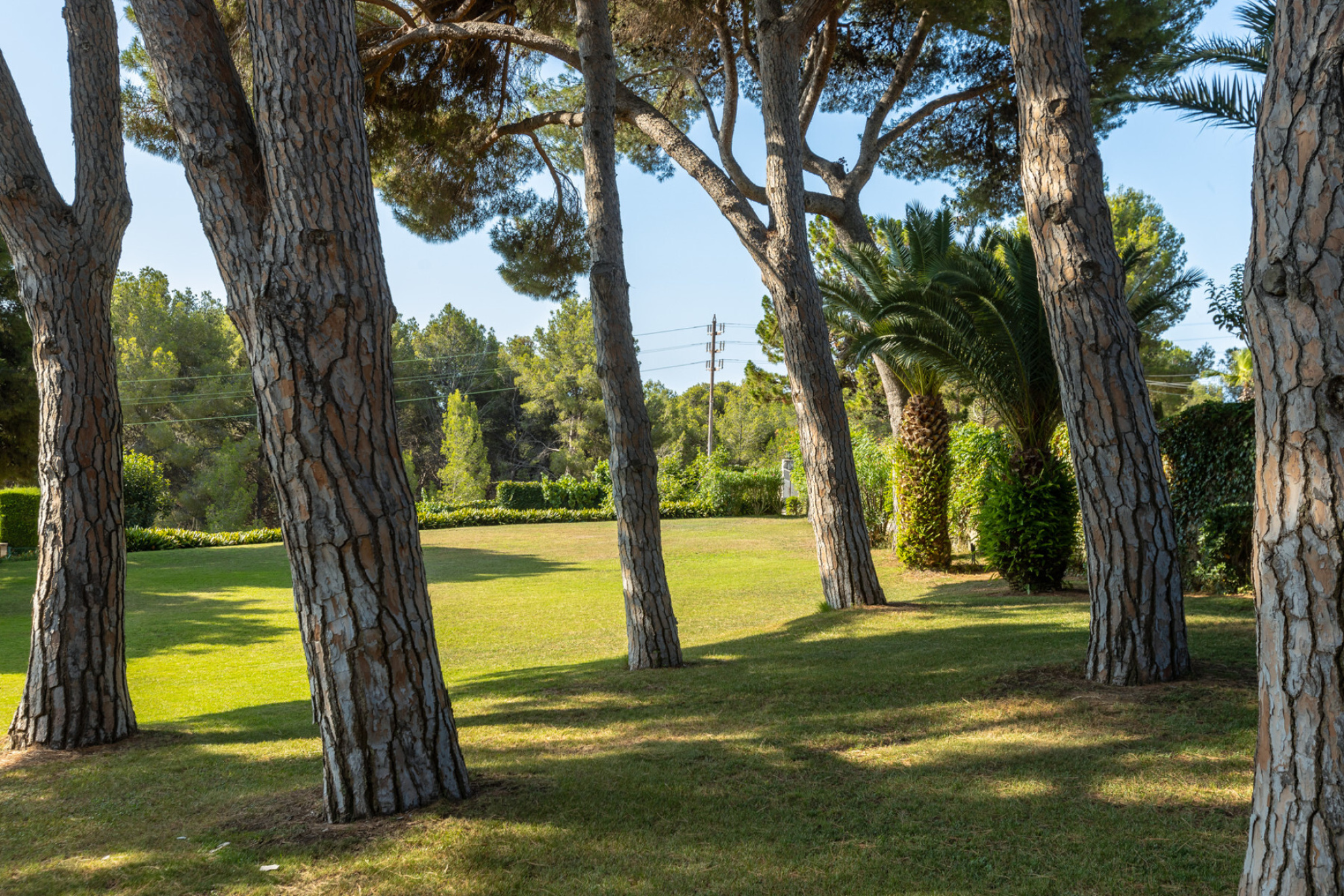  Large property in Llavaneres - Costa norte Barcelona - 物件實景