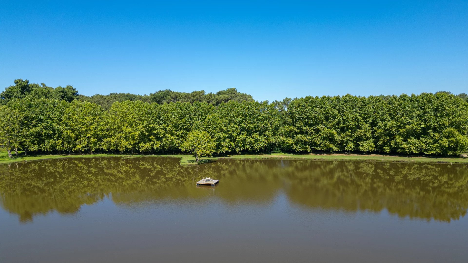 Angresse, New Aquitaine, 40150, FR, ,Residential,For Sale,1996845