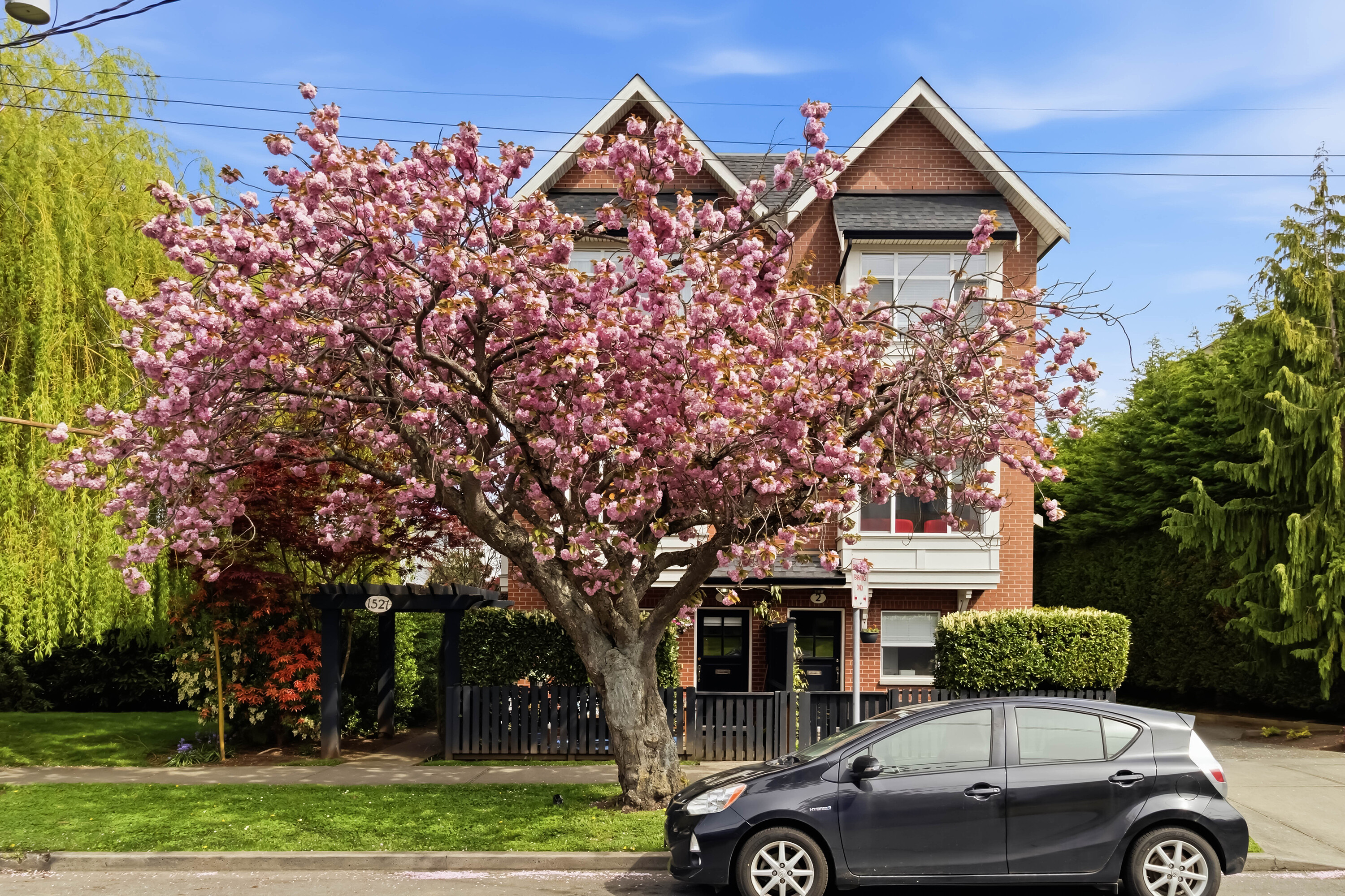  Timeless Character - 物件實景