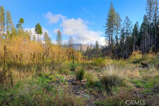 Oroville, California, 95965, United States, 3 Bedrooms Bedrooms, ,3 BathroomsBathrooms,Residential,For Sale,1996477