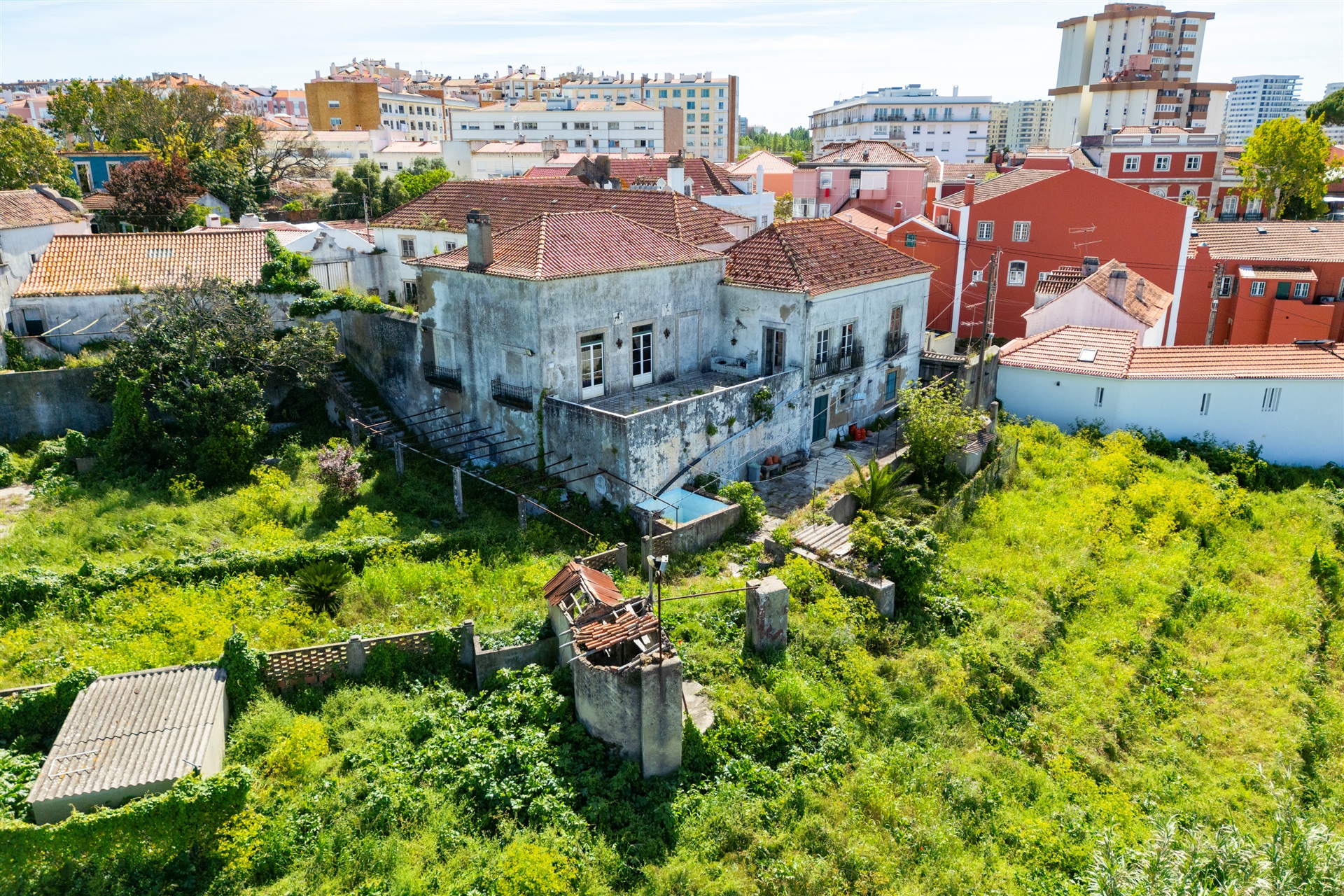  Farm for Sale - 物件實景