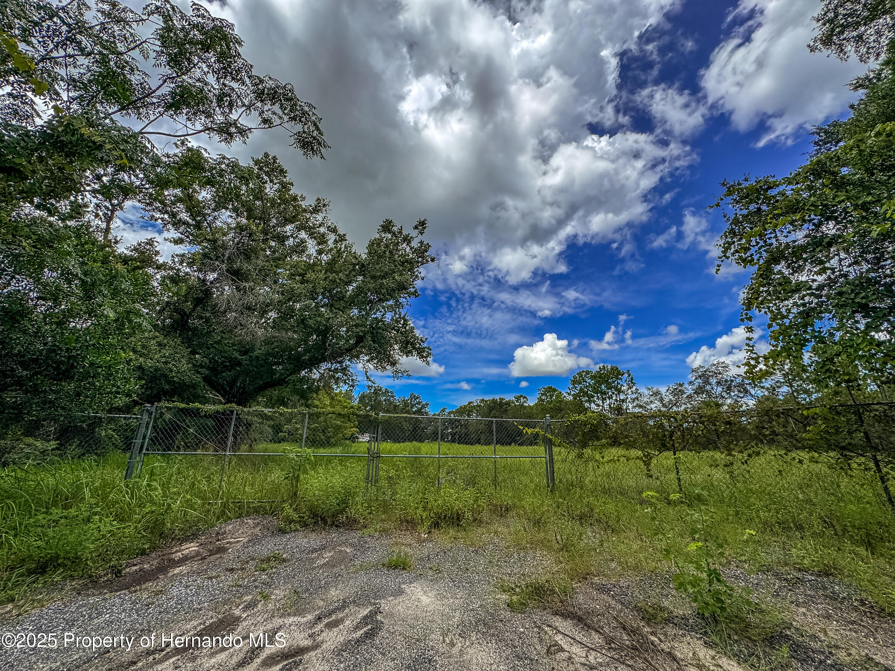 Brooksville, Florida, 34613, United States, ,Land,For Sale,1976830