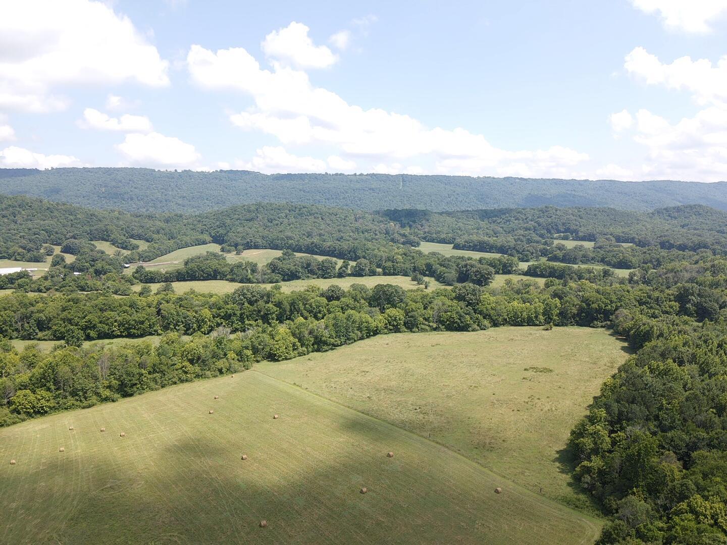 Bryant, Alabama, 35958, United States, ,Land,For Sale,1982684