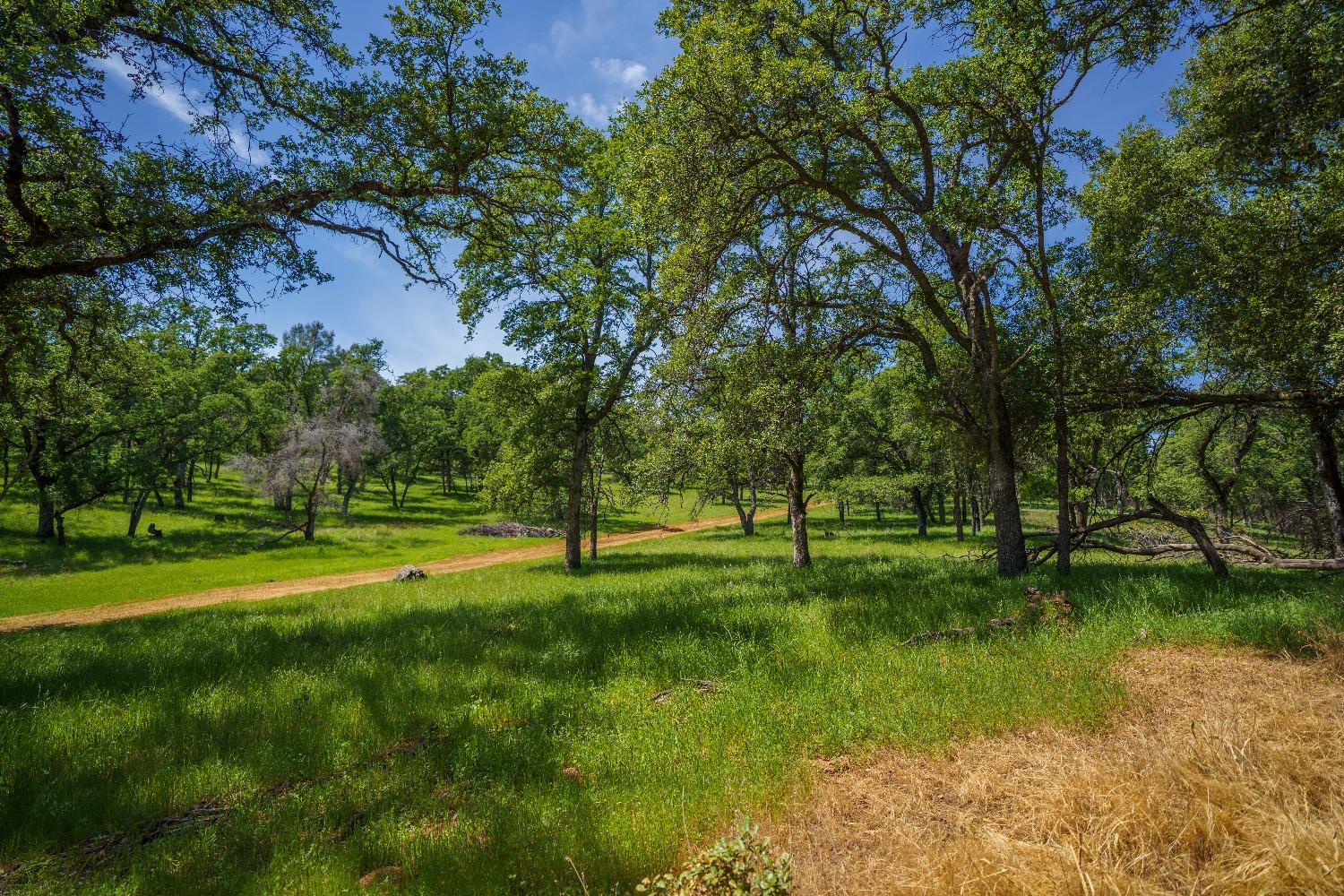 Lincoln, California, 95648, United States, ,Land,For Sale,1784125