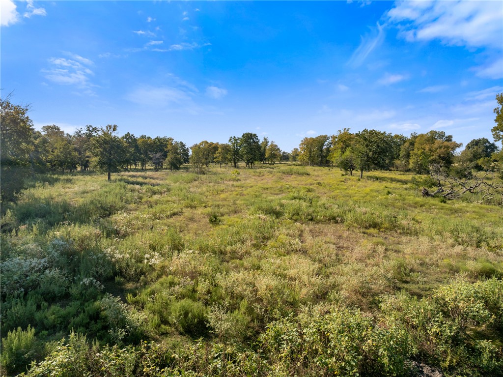 Anderson, Texas, 77830, United States, ,Land,For Sale,1983245