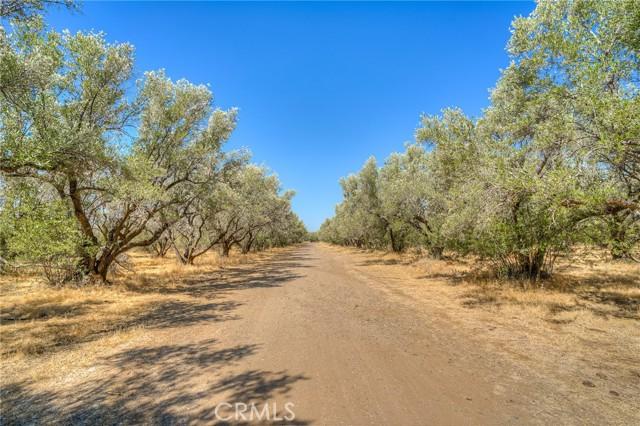 Oroville, California, 95965, United States, ,Land,For Sale,1978815
