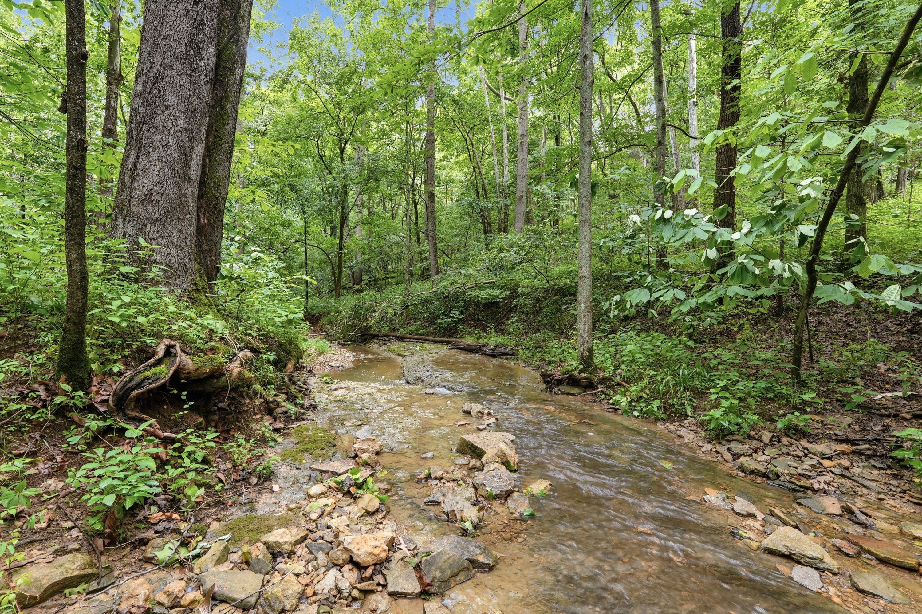  3850 Smith Lane, La Grange, KY 40031 - 物件實景
