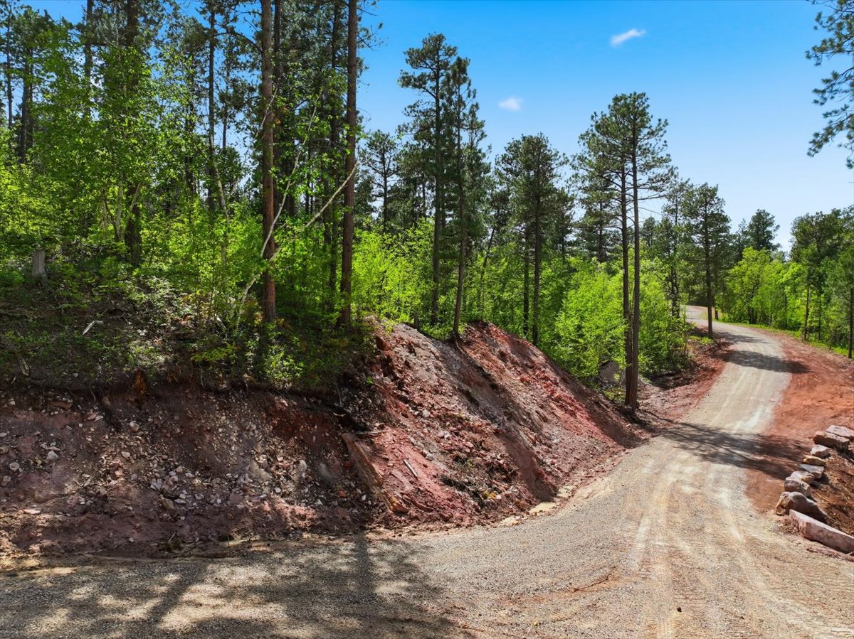 Spearfish, South Dakota, 57783, United States, ,Land,For Sale,2048171