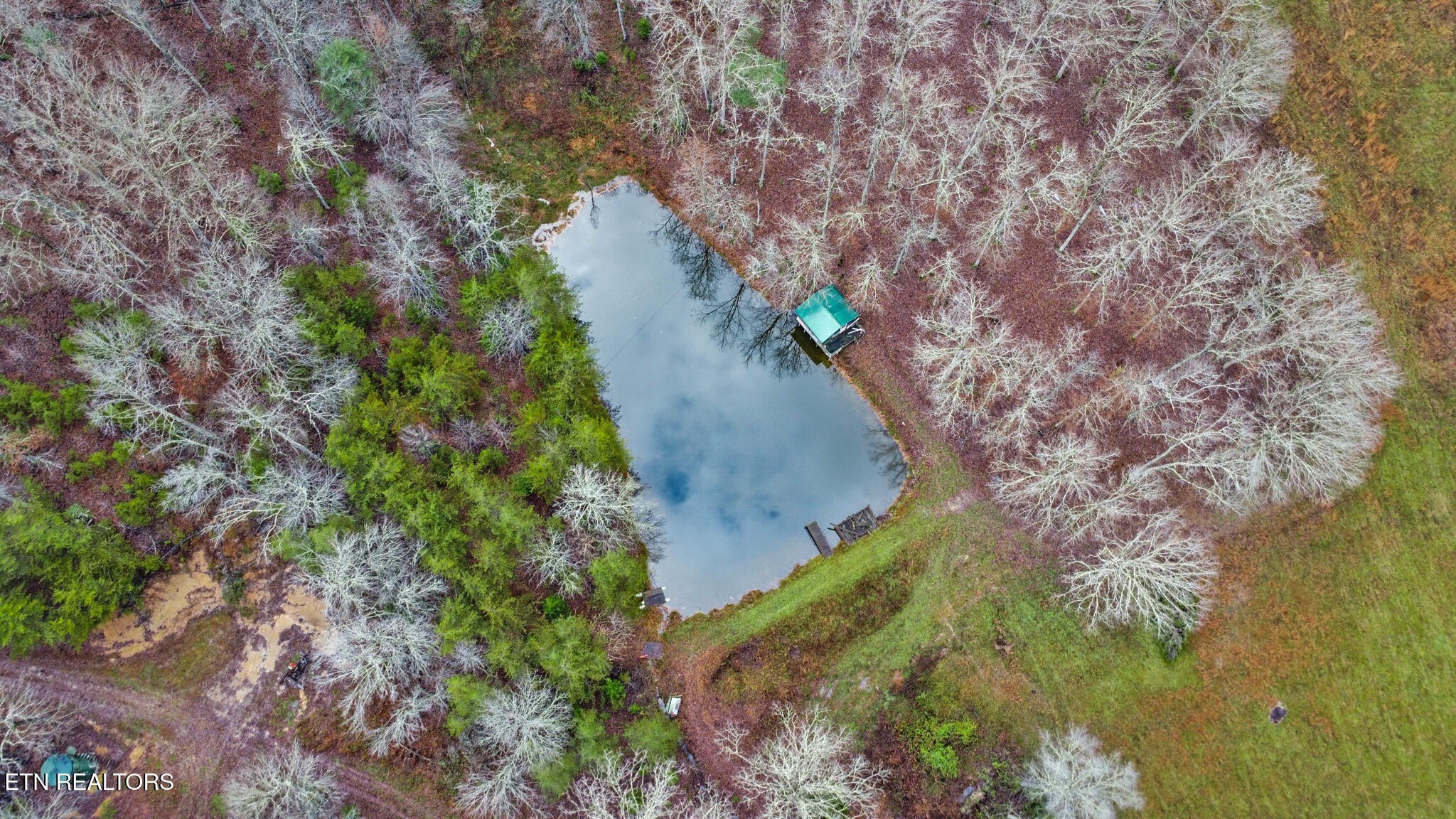 Deer Lodge, Tennessee, 37726, United States, 3 Bedrooms Bedrooms, ,2 BathroomsBathrooms,Residential,For Sale,2006458