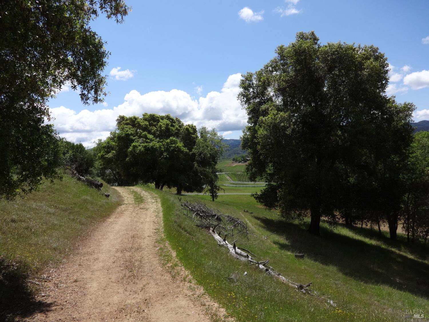 Kelseyville, California, 95451, United States, 3 Bedrooms Bedrooms, ,2 BathroomsBathrooms,Residential,For Sale,1974568