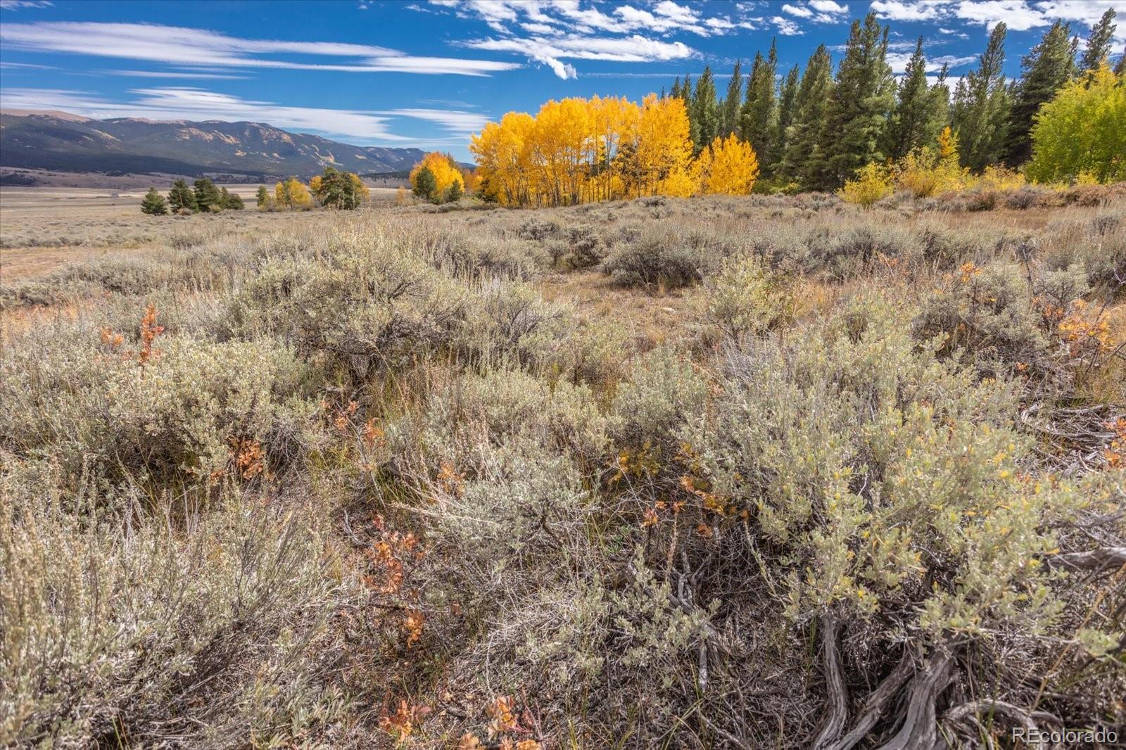 Twin Lakes, Colorado, 81251, United States, ,Residential,For Sale,1976242