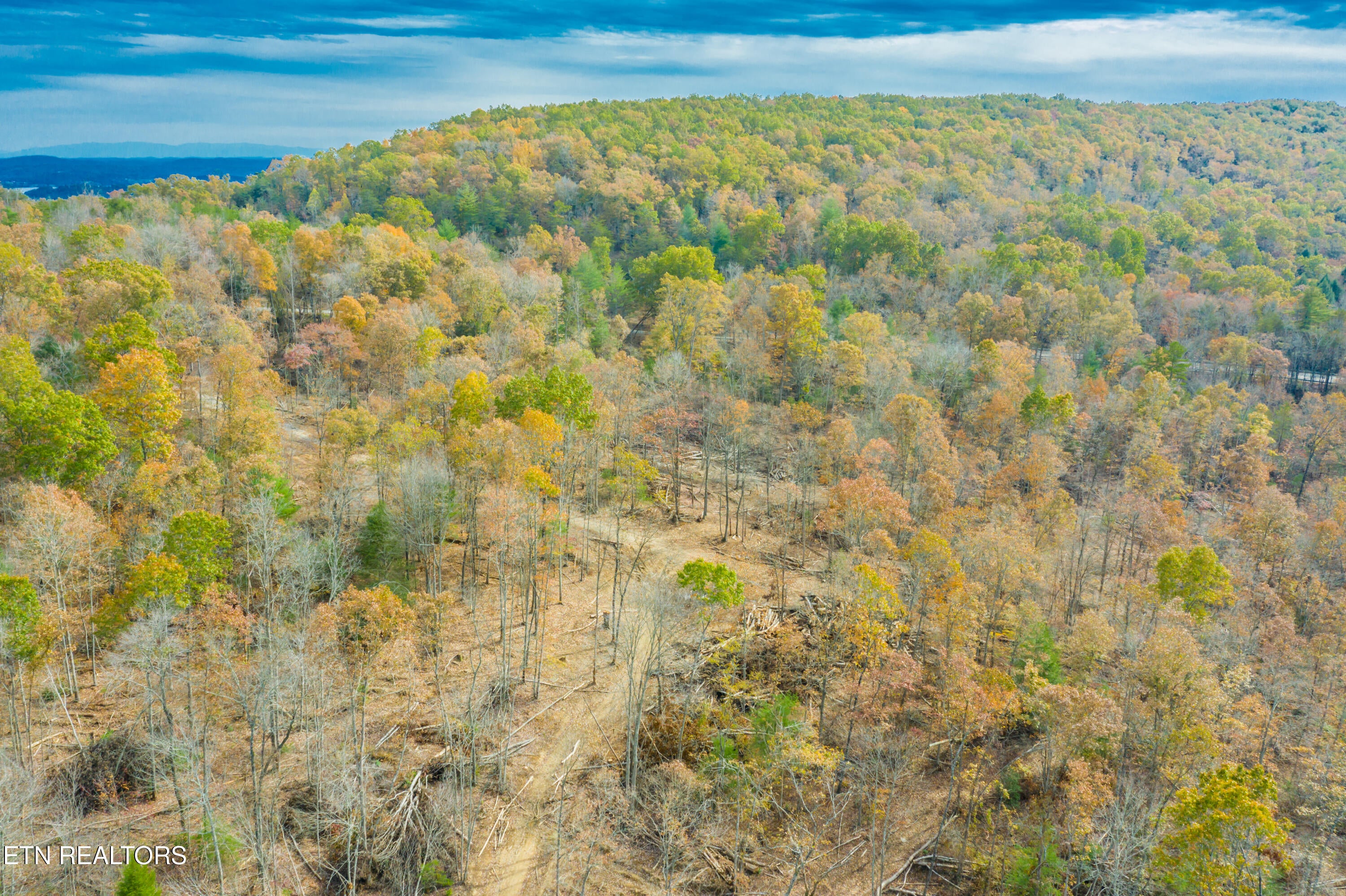Rockwood, Tennessee, 37854, United States, ,Land,For Sale,1806468