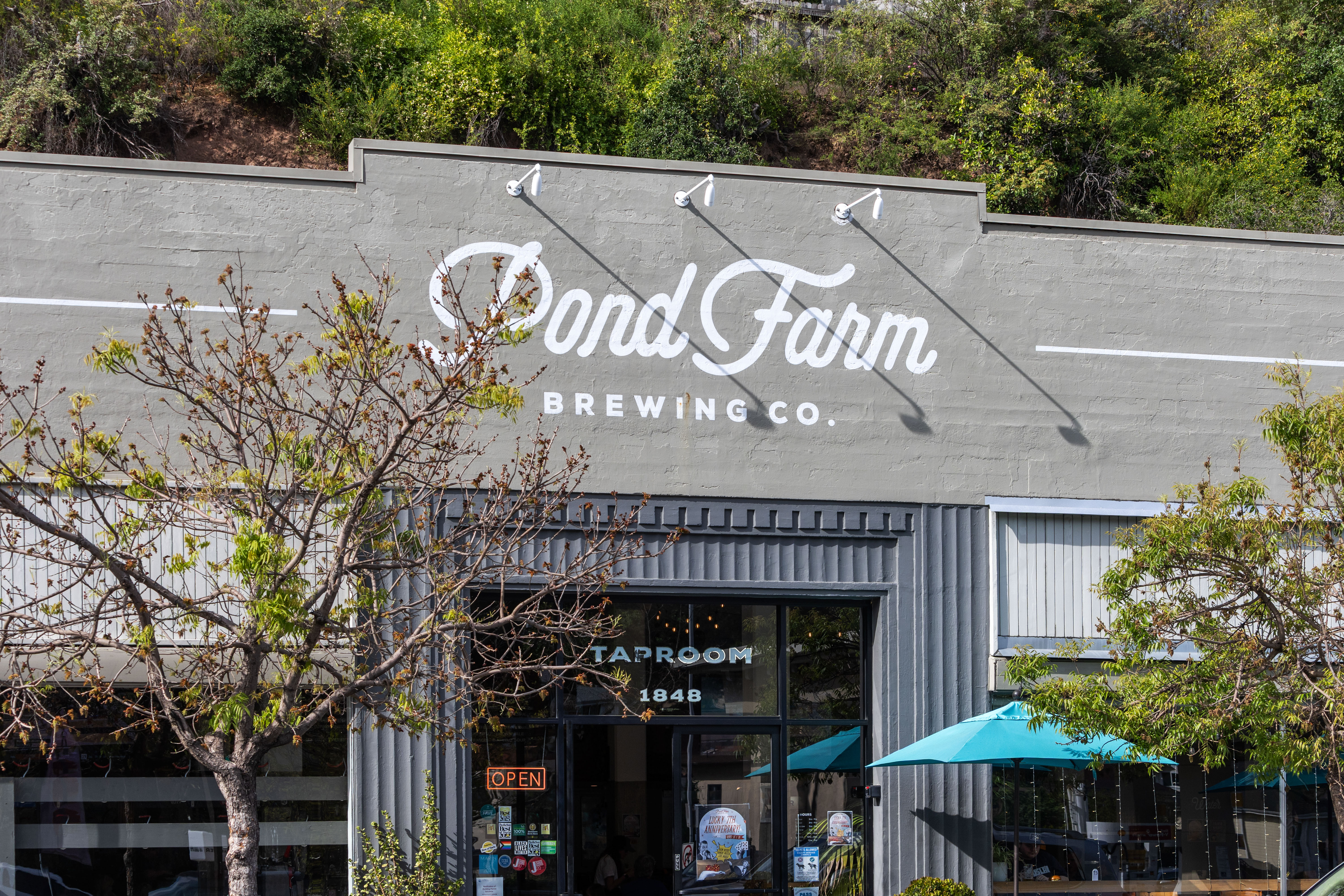  Mid-Century Design and Natural Tranquility in San Rafael’s West End - 物件實景