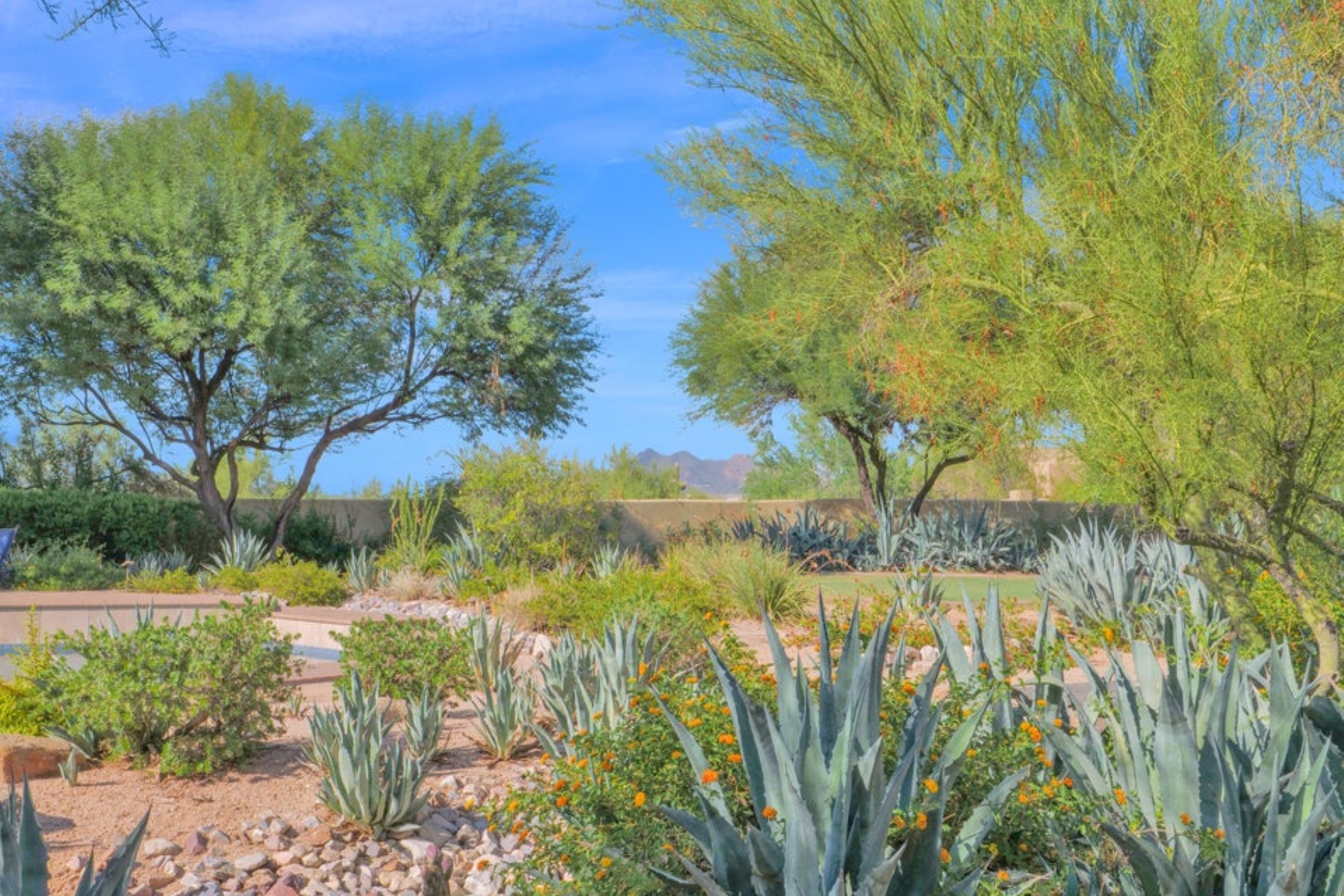  5716 E Milton Drive ¦ Cave Creek, AZ - 物件實景