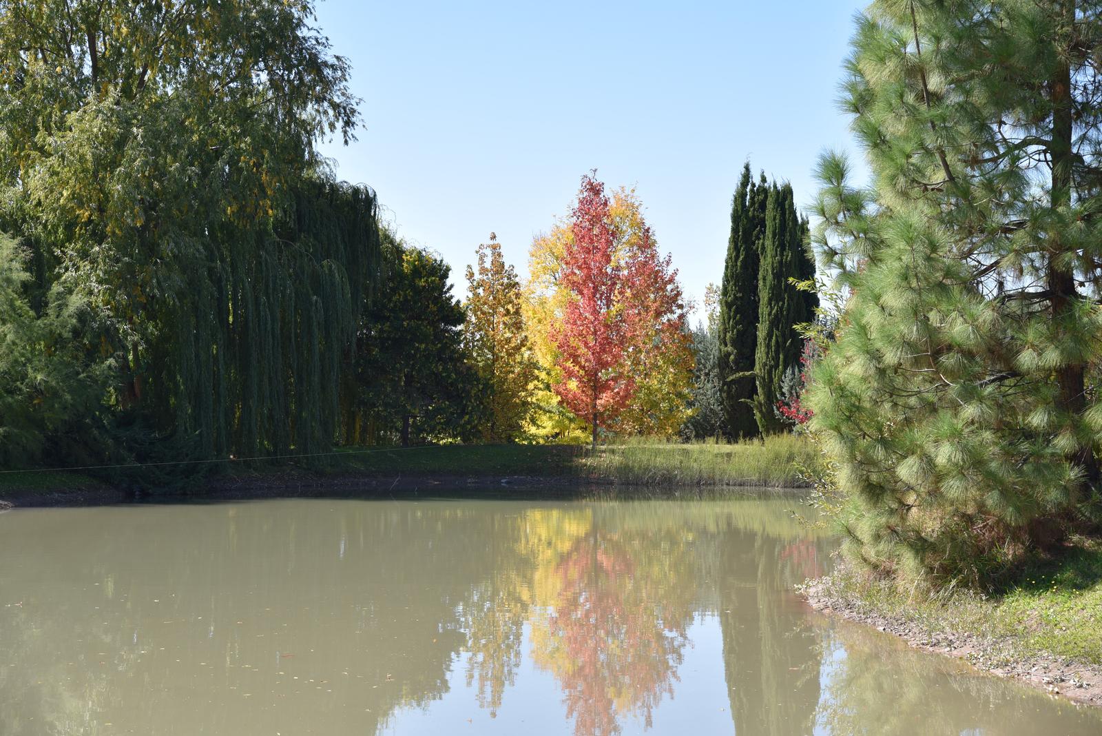 Lujan De Cuyo, AR-M, AR, 5 Bedrooms Bedrooms, ,8 BathroomsBathrooms,Residential,For Sale,1999071