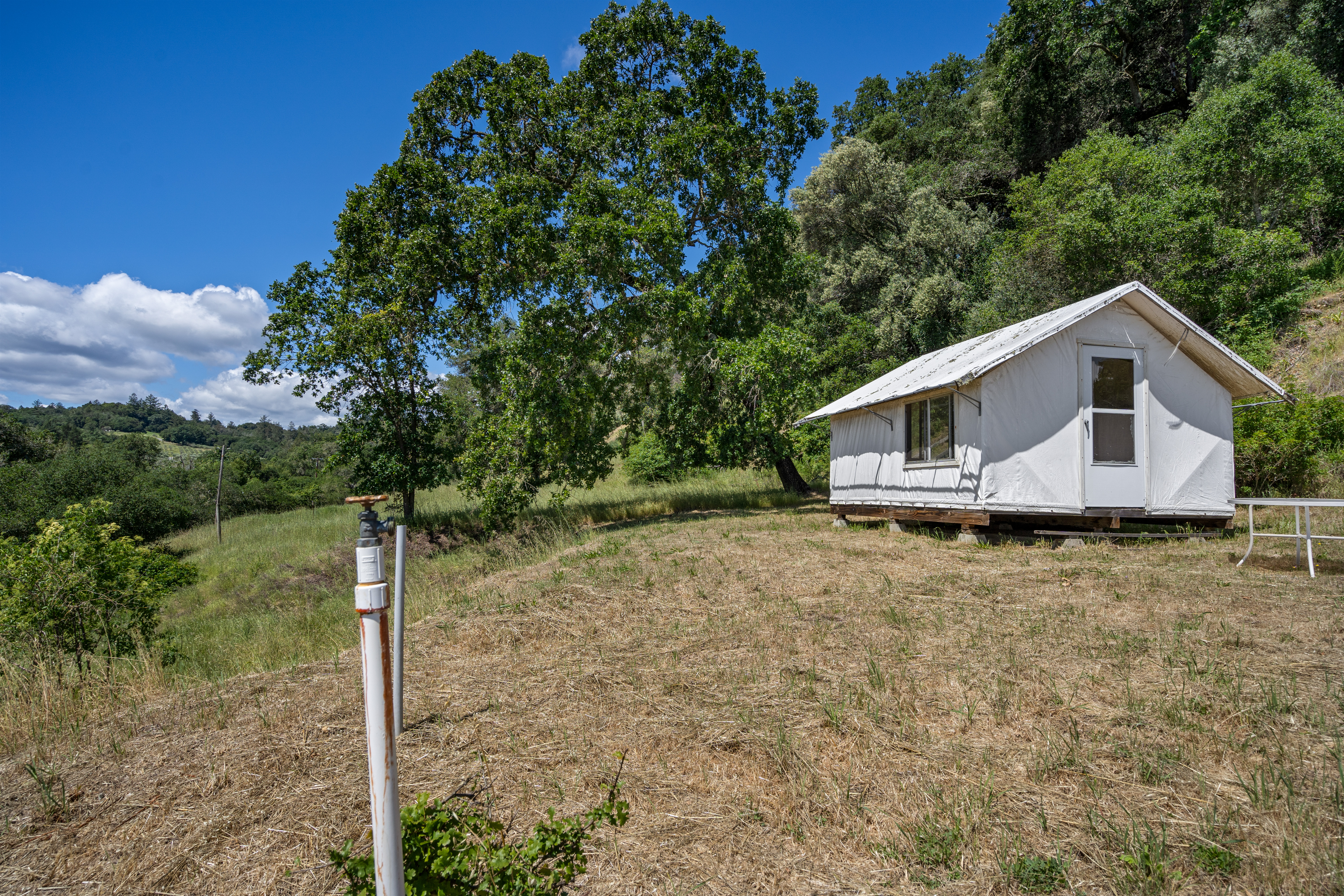  1077 Westside Road, Healdsburg, CA 95448 - 物件實景