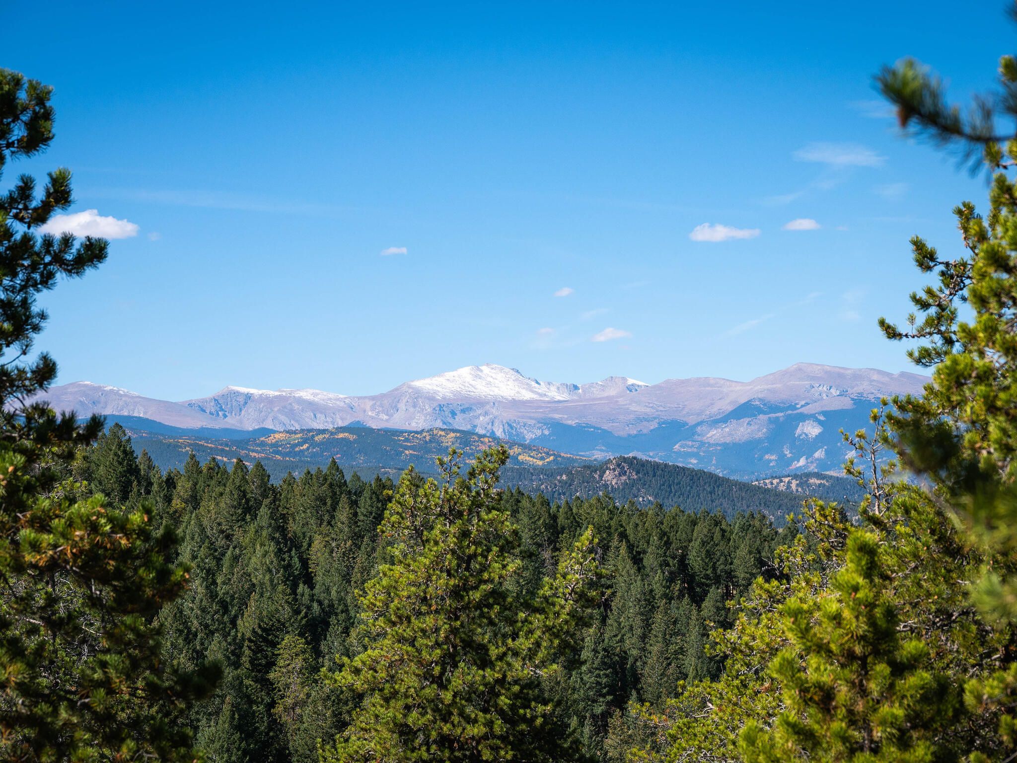  Acreage Available in Evergreen
