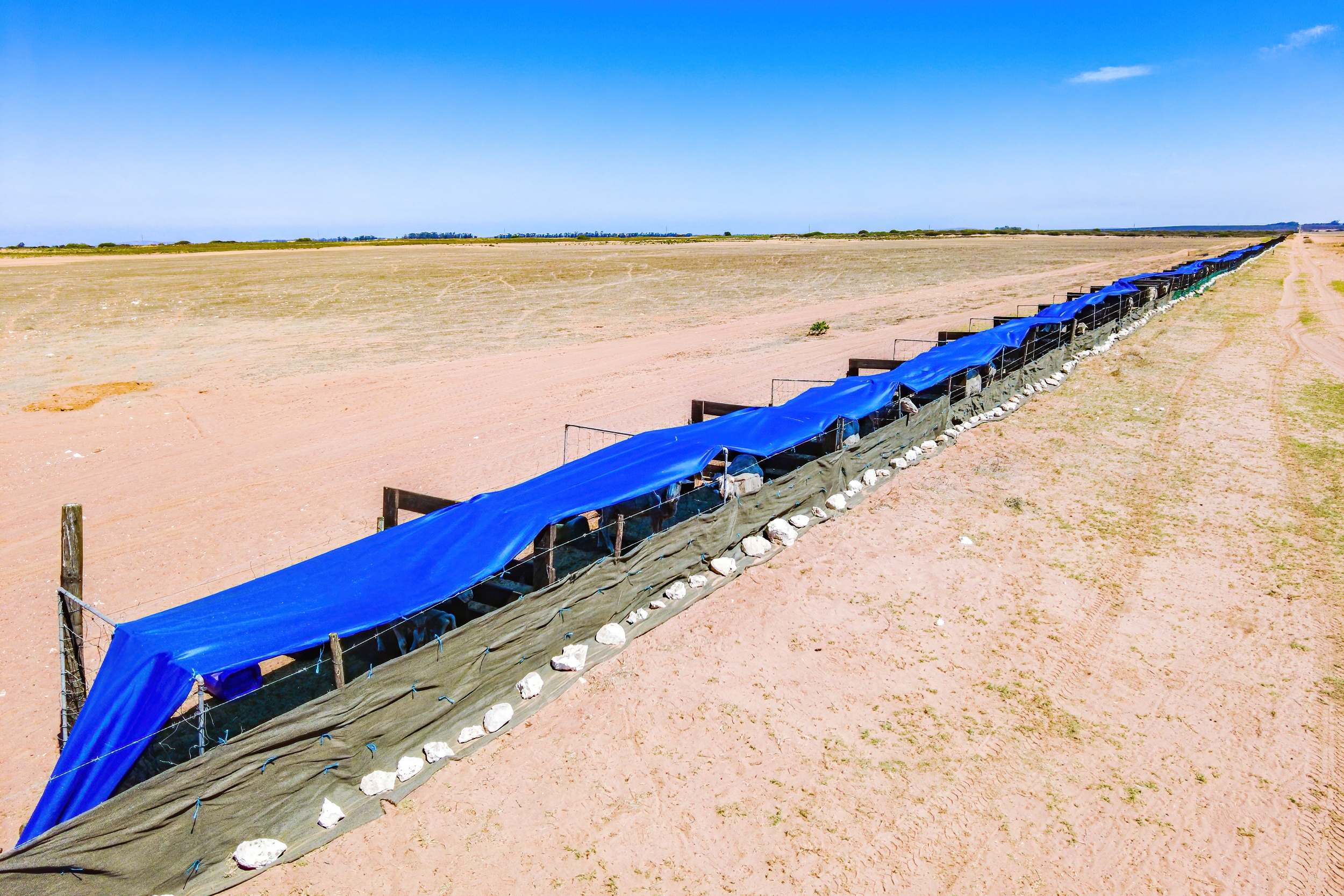  81/4 Brakfontein farm - 物件實景