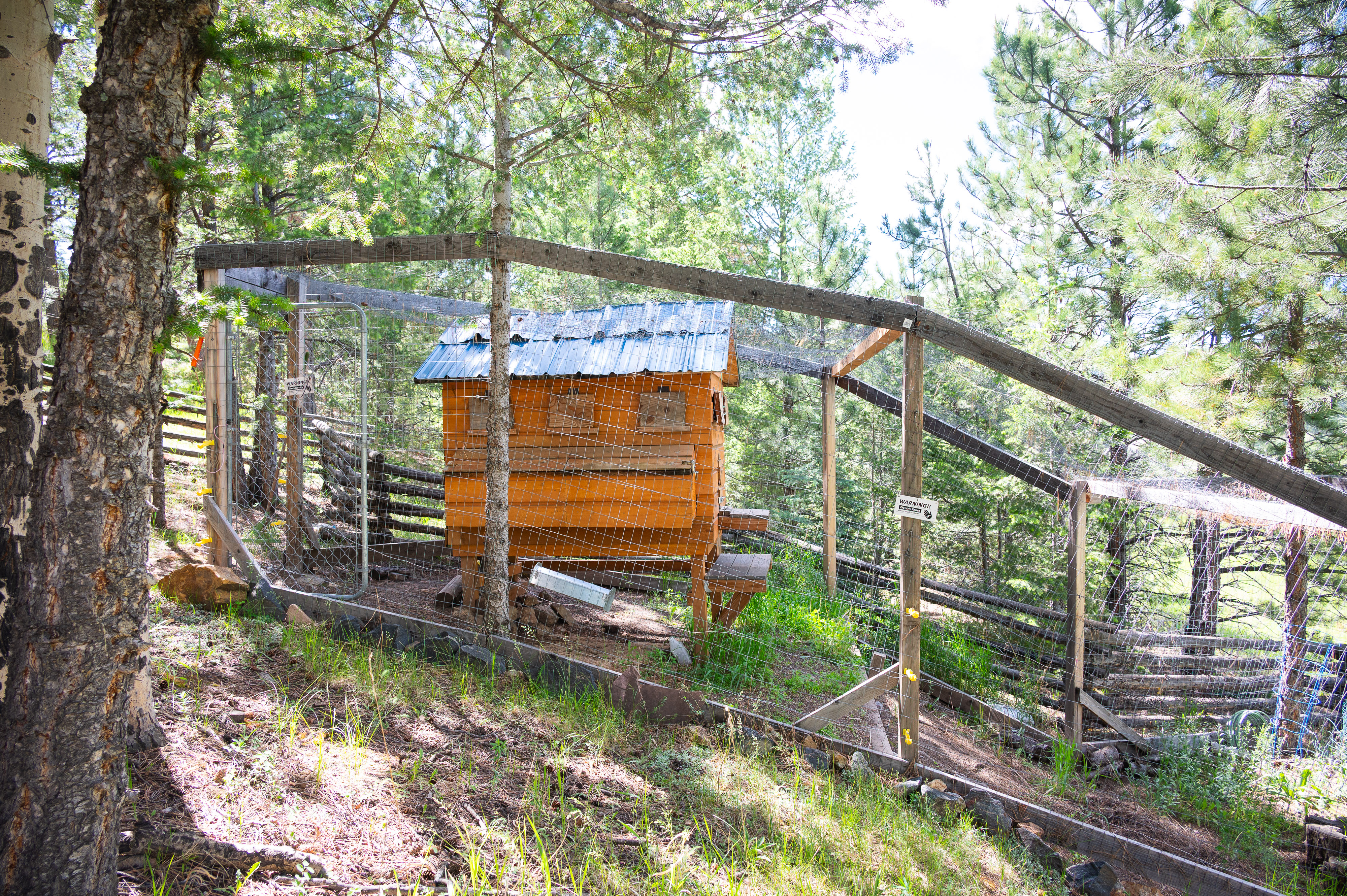 32843 Deep Forest Road, Evergreen, CO, 80439 - 物件實景