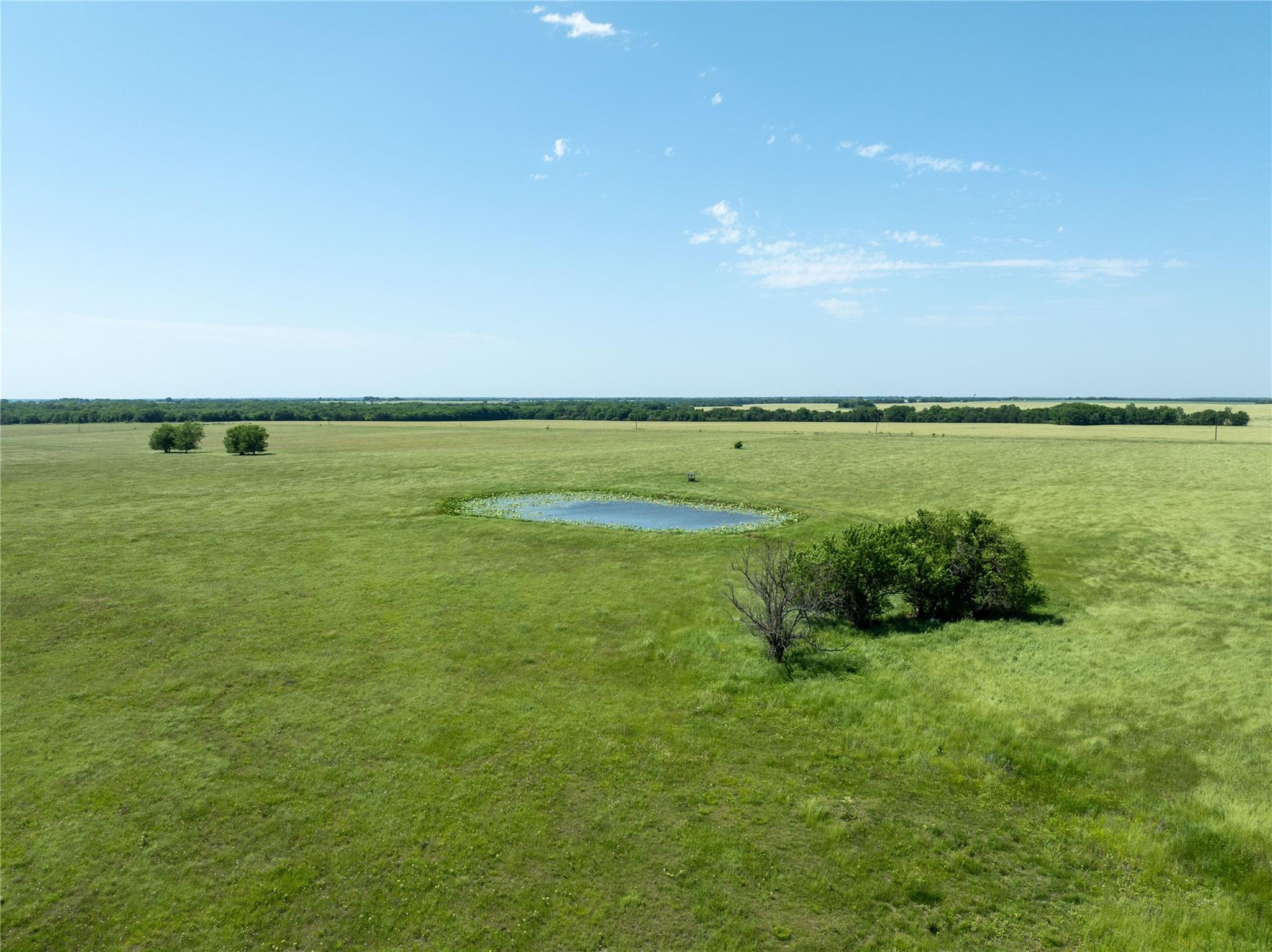 Blossom, Texas, 75416, United States, ,Residential,For Sale,1863967