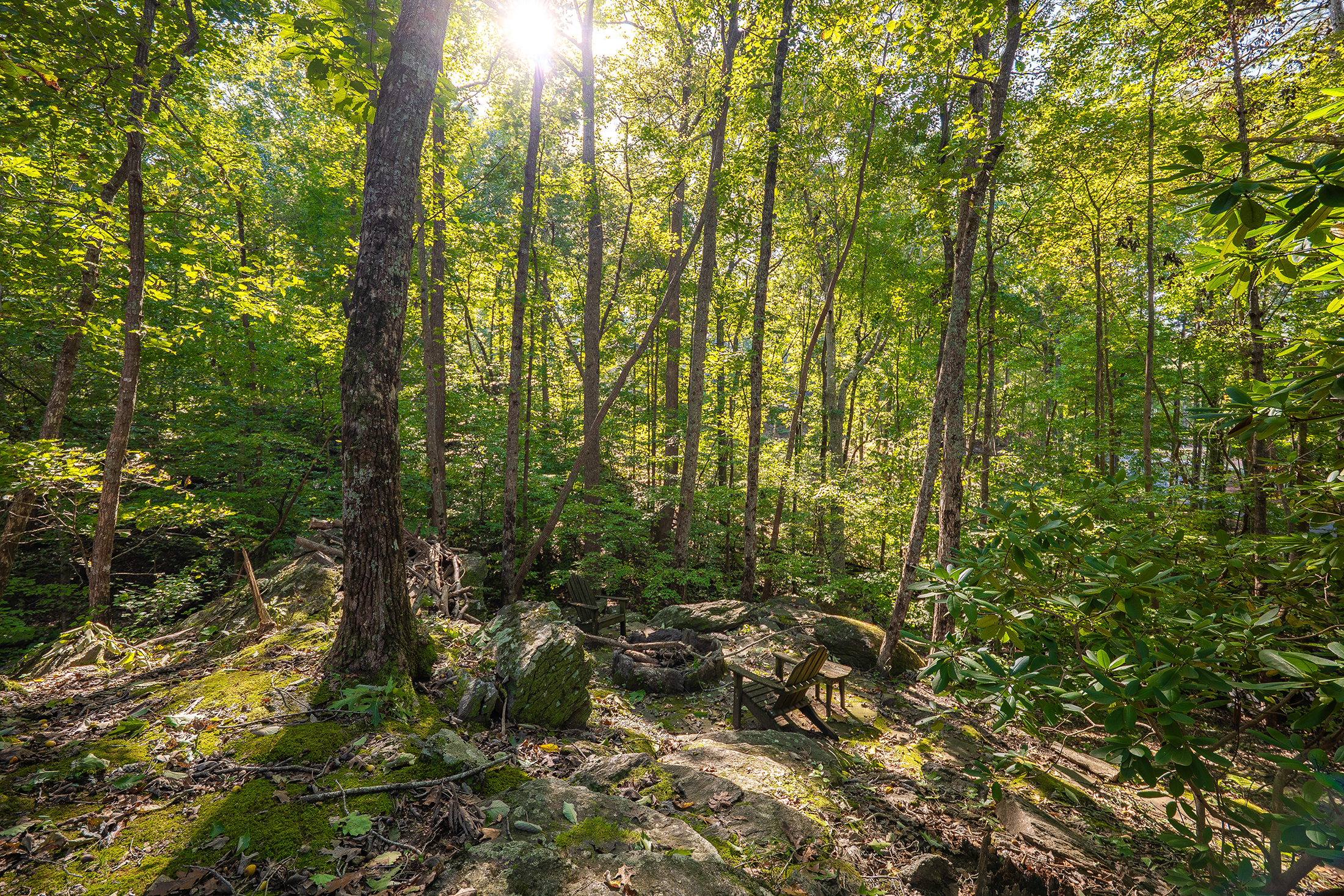  Timeless Colonial Elegance on Two Private Wooded Acres in Litchfield Hundred - 物件實景