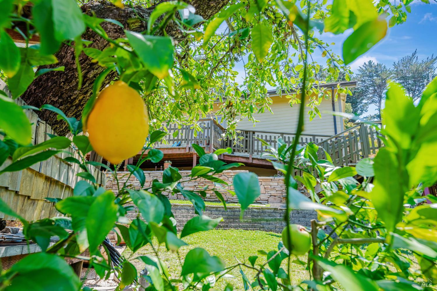 Corte Madera, California, 94925, United States, 4 Bedrooms Bedrooms, ,5 BathroomsBathrooms,Residential,For Sale,1917225