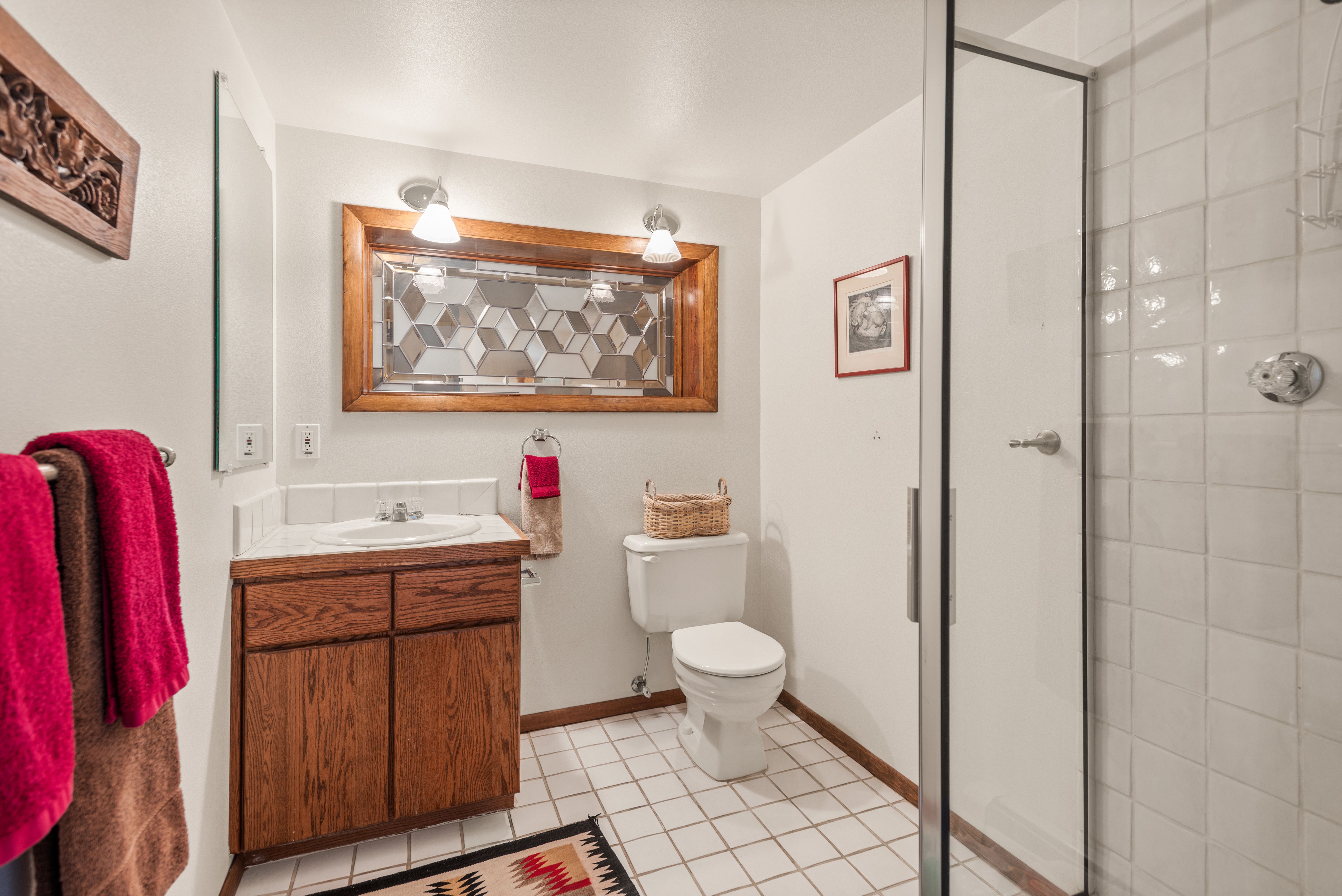  246 Roaring Fork Drive, Aspen, CO, 81611 - 物件實景