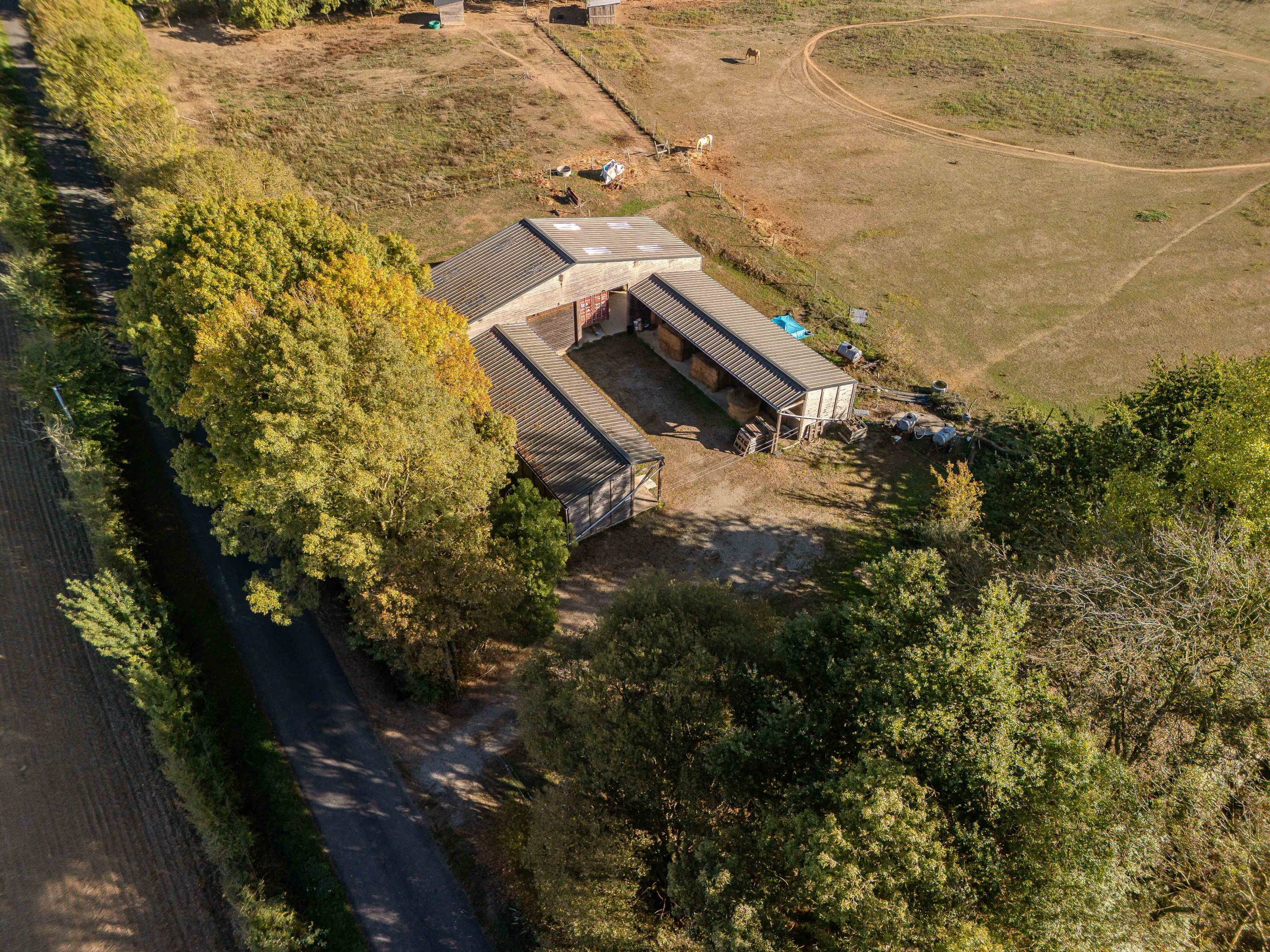  Equestrian property with 9 hectares stables and 2 houses - 物件實景