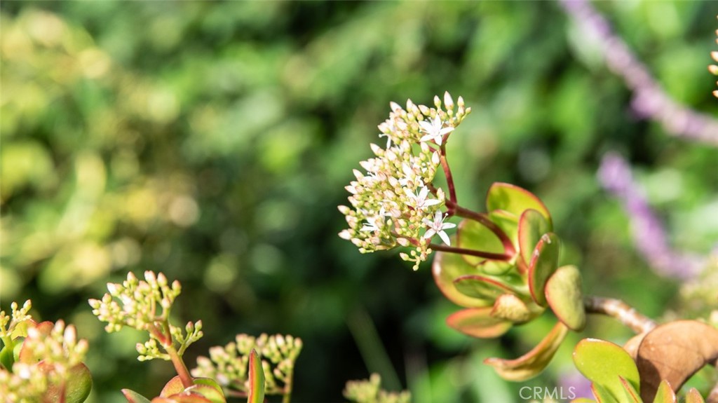 Agoura Hills, California, 91301, United States, 3 Bedrooms Bedrooms, ,1 BathroomBathrooms,Residential,For Sale,1992879