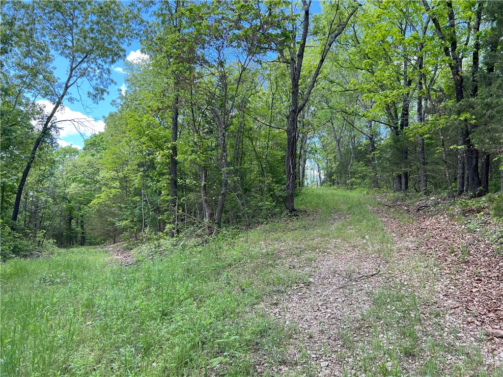 Garfield, Arkansas, 72732, United States, ,Land,For Sale,1804669