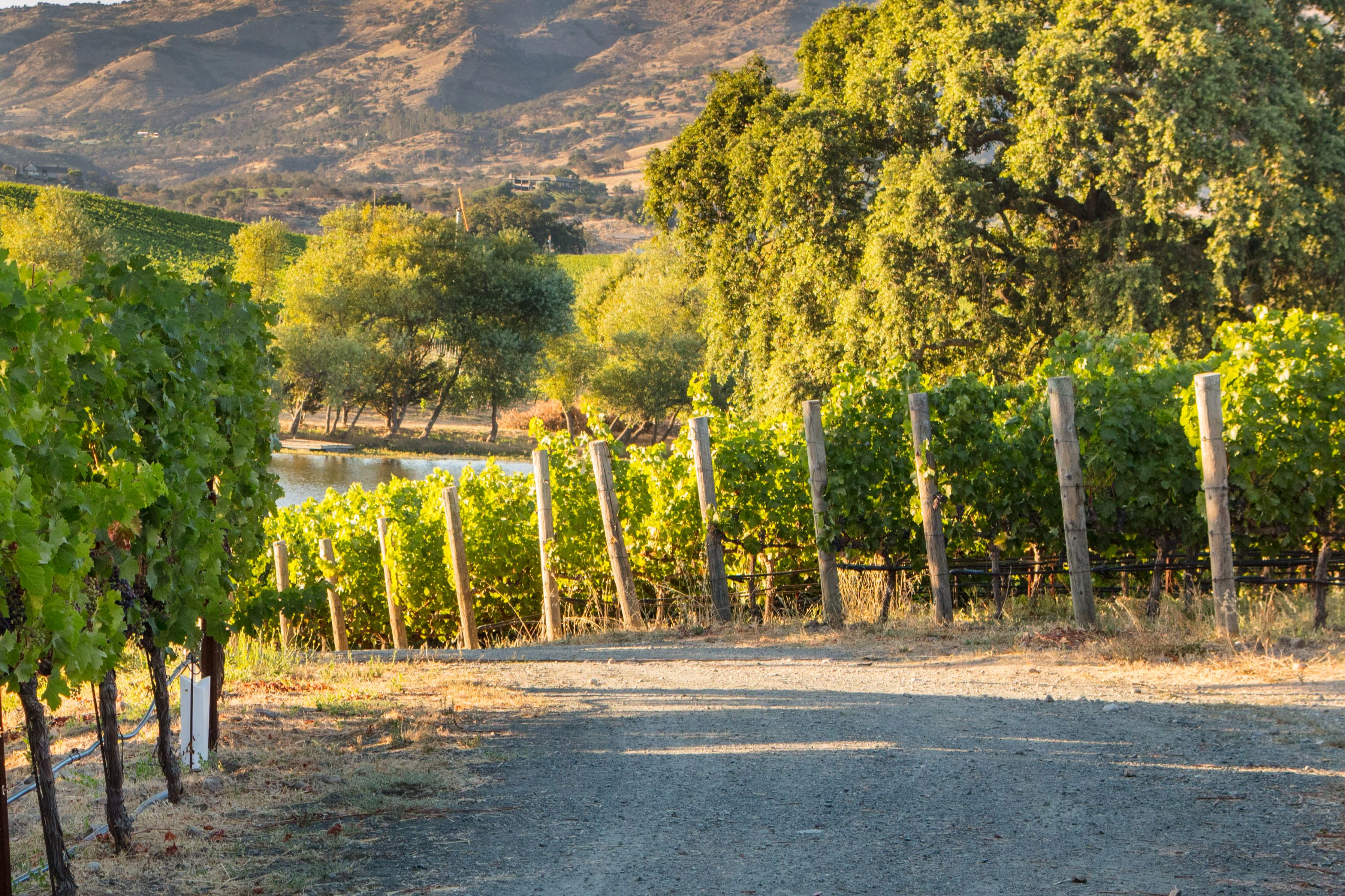  Krupp Brothers Estate - 物件實景