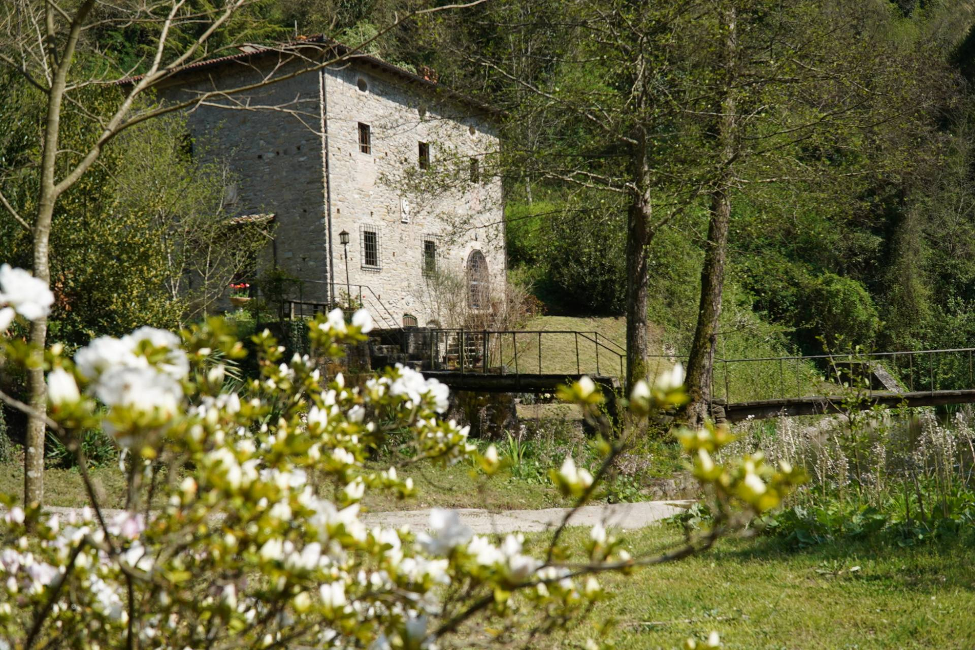 ronta campagna, Borgo San Lorenzo, Firenze, 50032, IT, 8 Bedrooms Bedrooms, ,5 BathroomsBathrooms,Residential,For Sale,ronta campagna,1441511