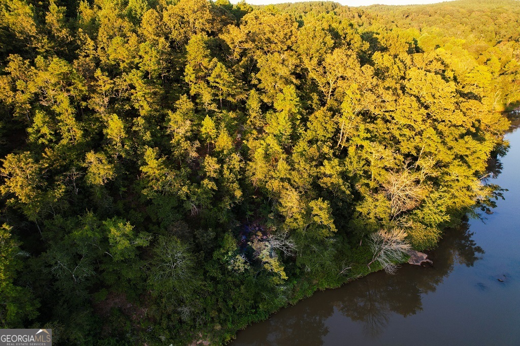 Bowman, Georgia, 30624, United States, ,Land,For Sale,1988197