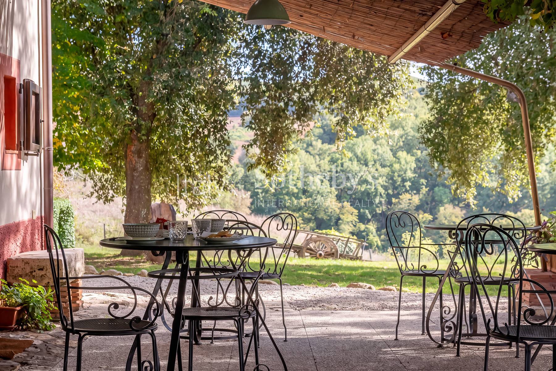  Charming Country Estate with Pool and Olive Grove in Maremma - 物件實景
