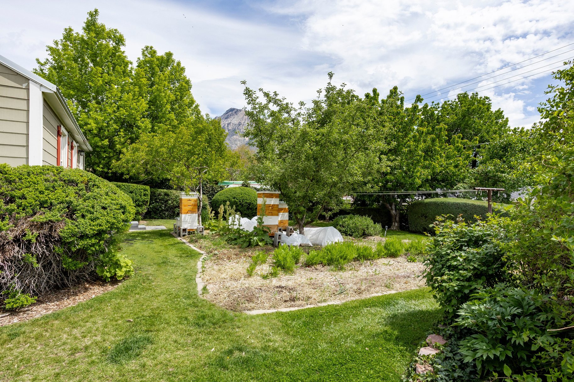  Multifamily Homestead in the Heart of Holladay - 物件實景