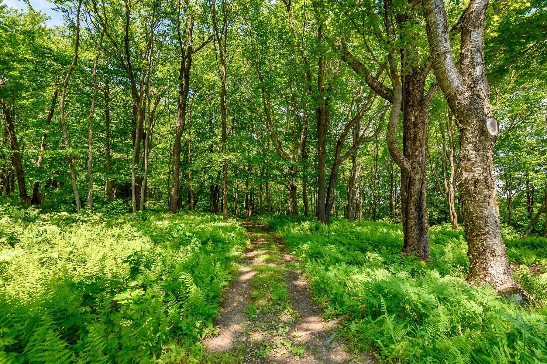  Bolton-Ouest, Eastern Townships - 物件實景