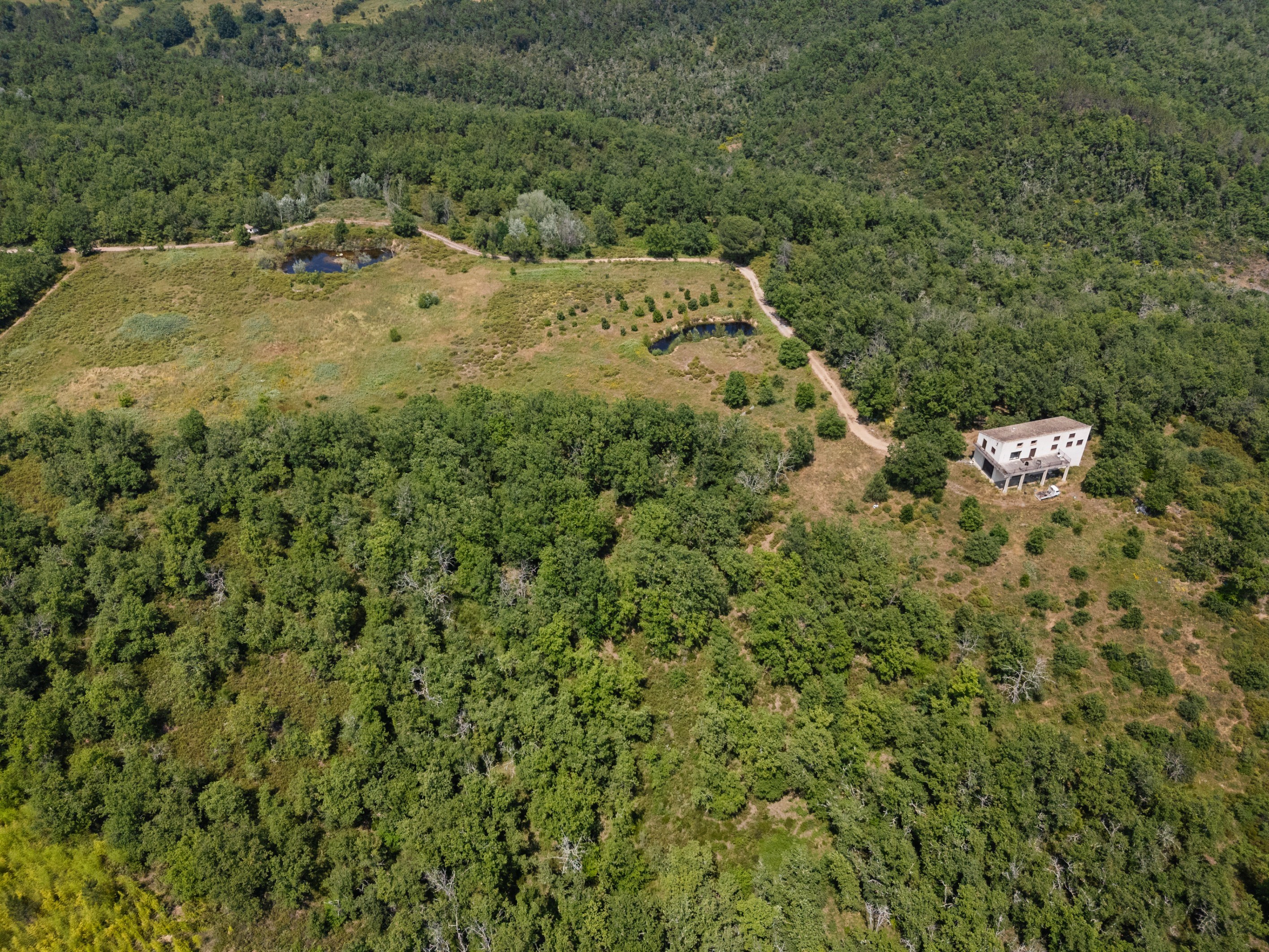  Organic estate with vineyard potential and panoramic views, over 44 Hectares in… - 物件實景