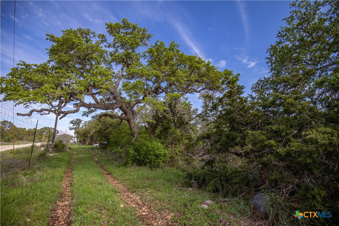San Marcos, Texas, 78666, United States, ,Land,For Sale,1990898