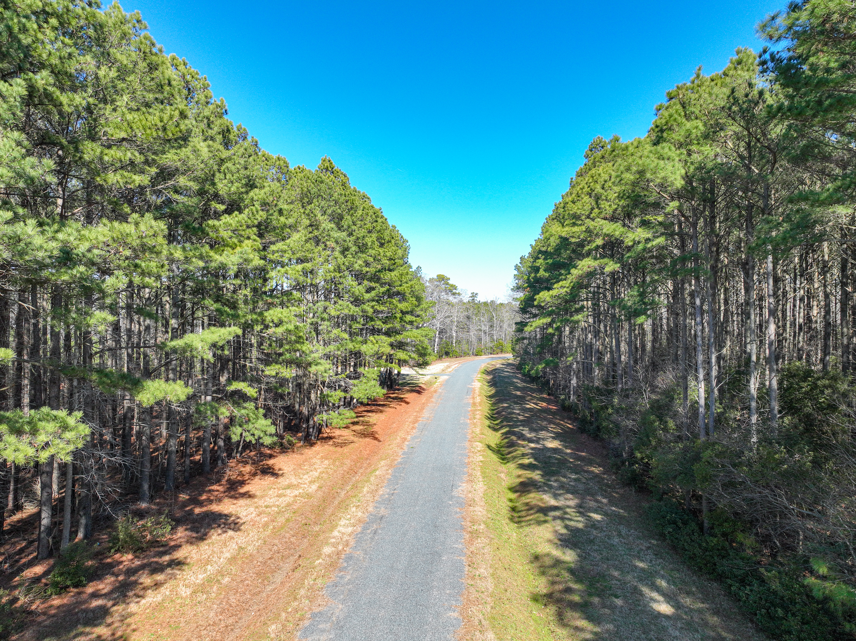 Onancock, Virginia, 23417, United States, ,Land,For Sale,1787848