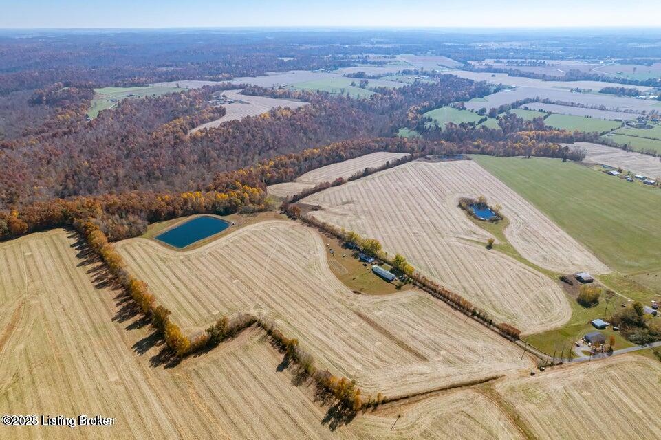 Rhodelia, Kentucky, 40161, United States, ,Land,For Sale,1906701
