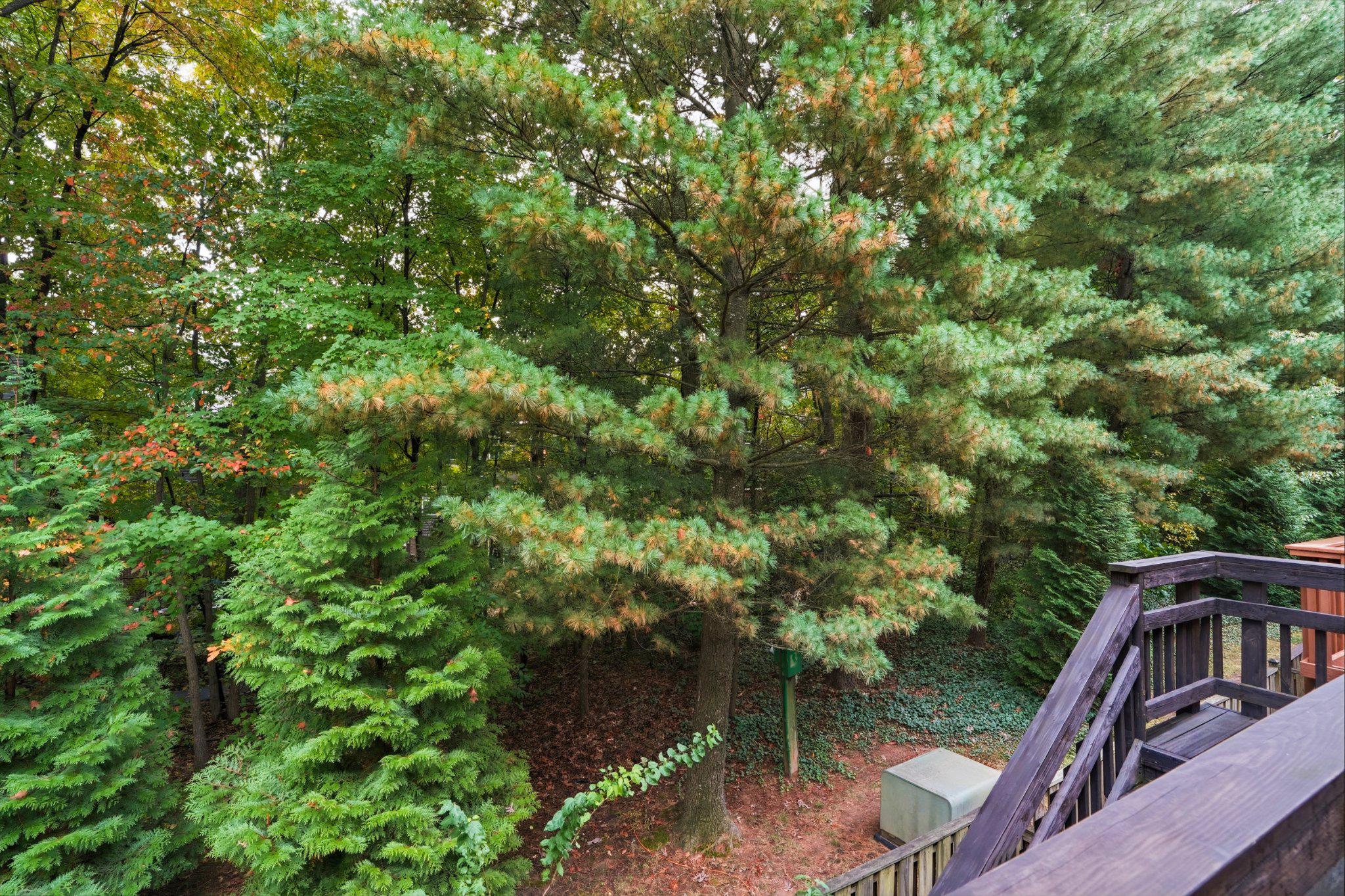  12222 Apple Orchard Court, Fairfax, VA, 22033 - 物件實景