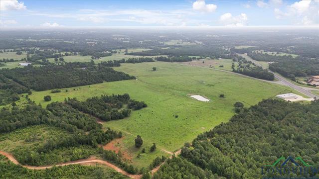 Henderson, Texas, 75654, United States, ,Land,For Sale,1885334